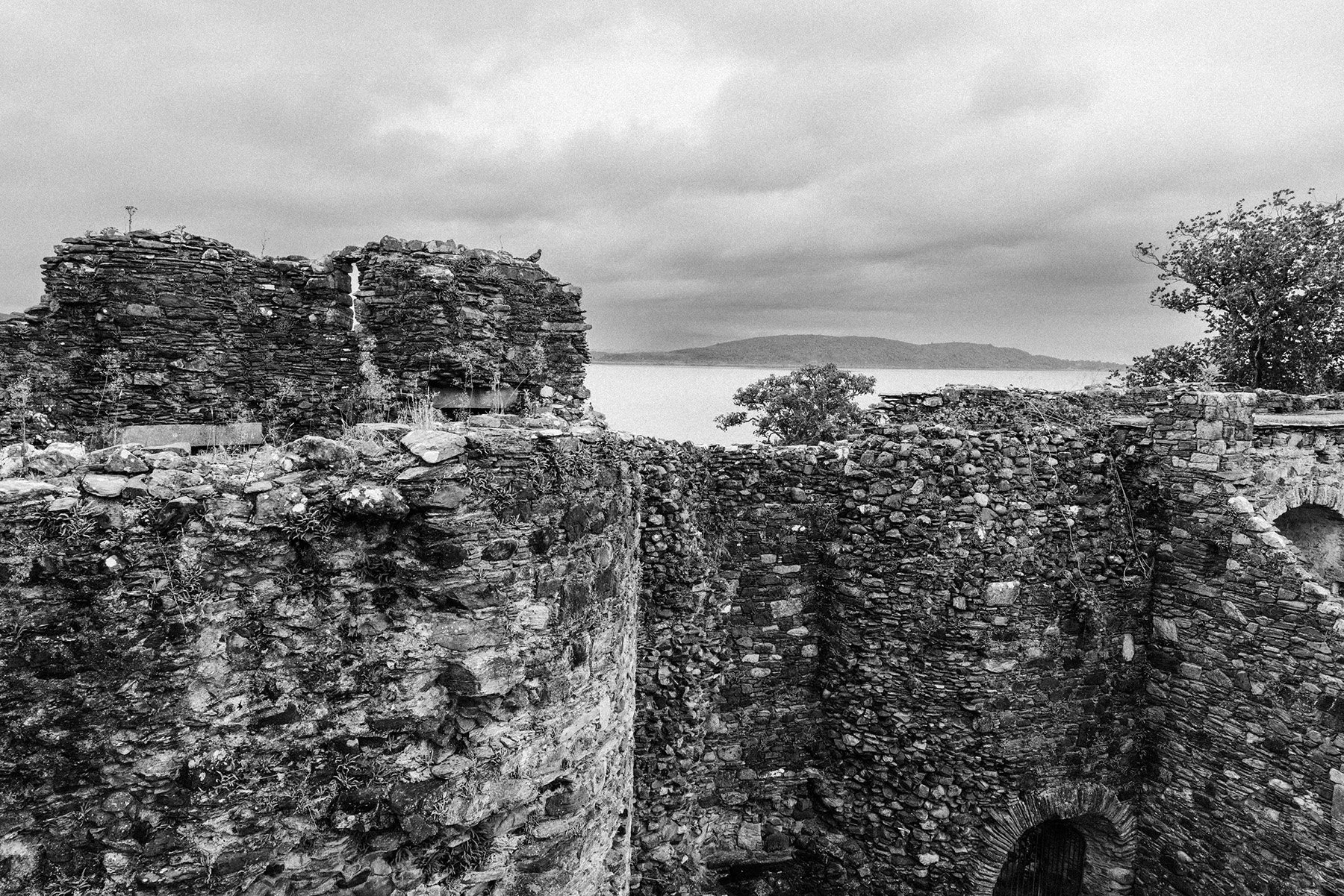 066_SONY_A7RIII_24GM_scotland-08118.jpg