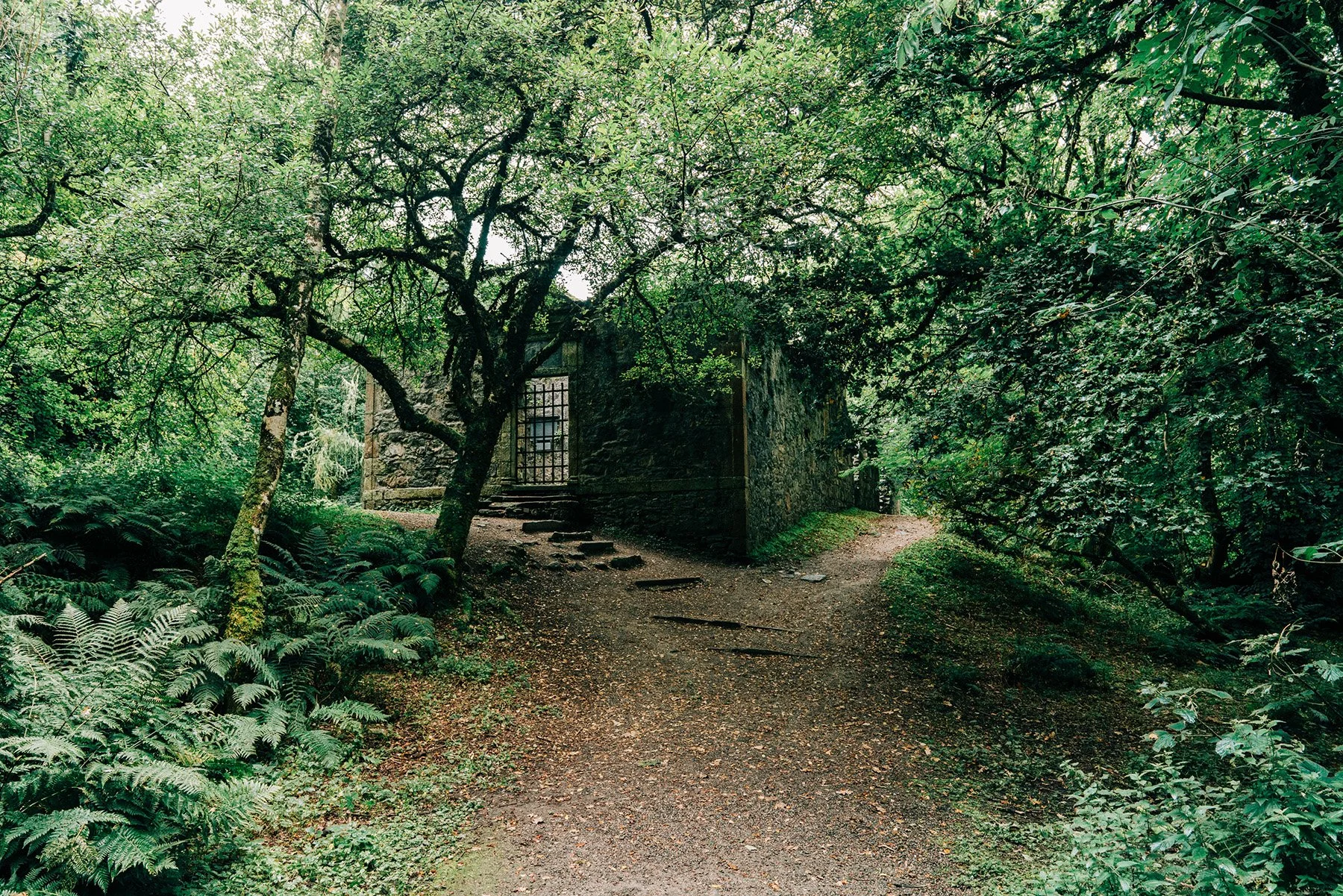 069_SONY_A7RIII_24GM_scotland-08128.jpg