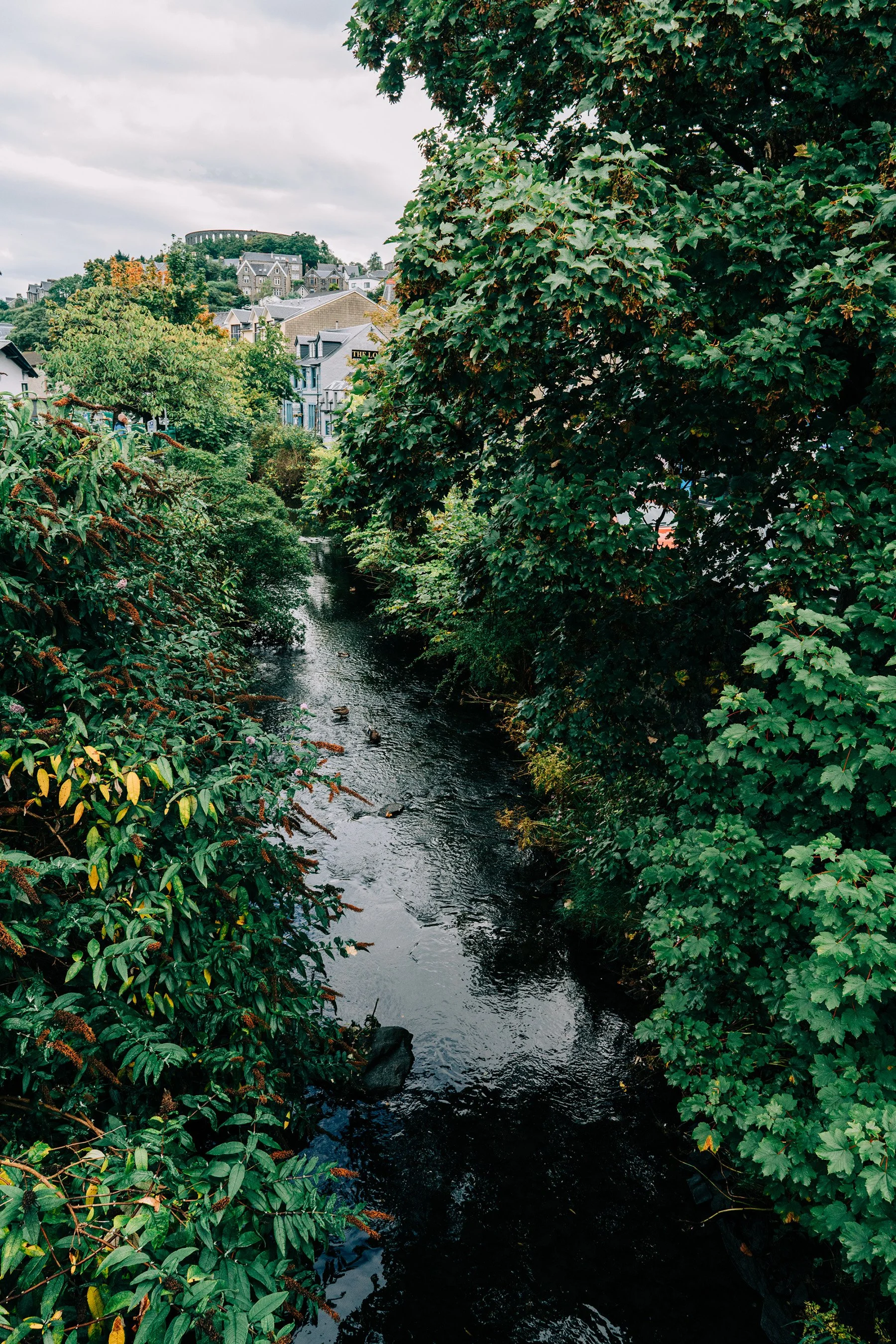 080_SONY_A7RIII_24GM_scotland-08202.jpg