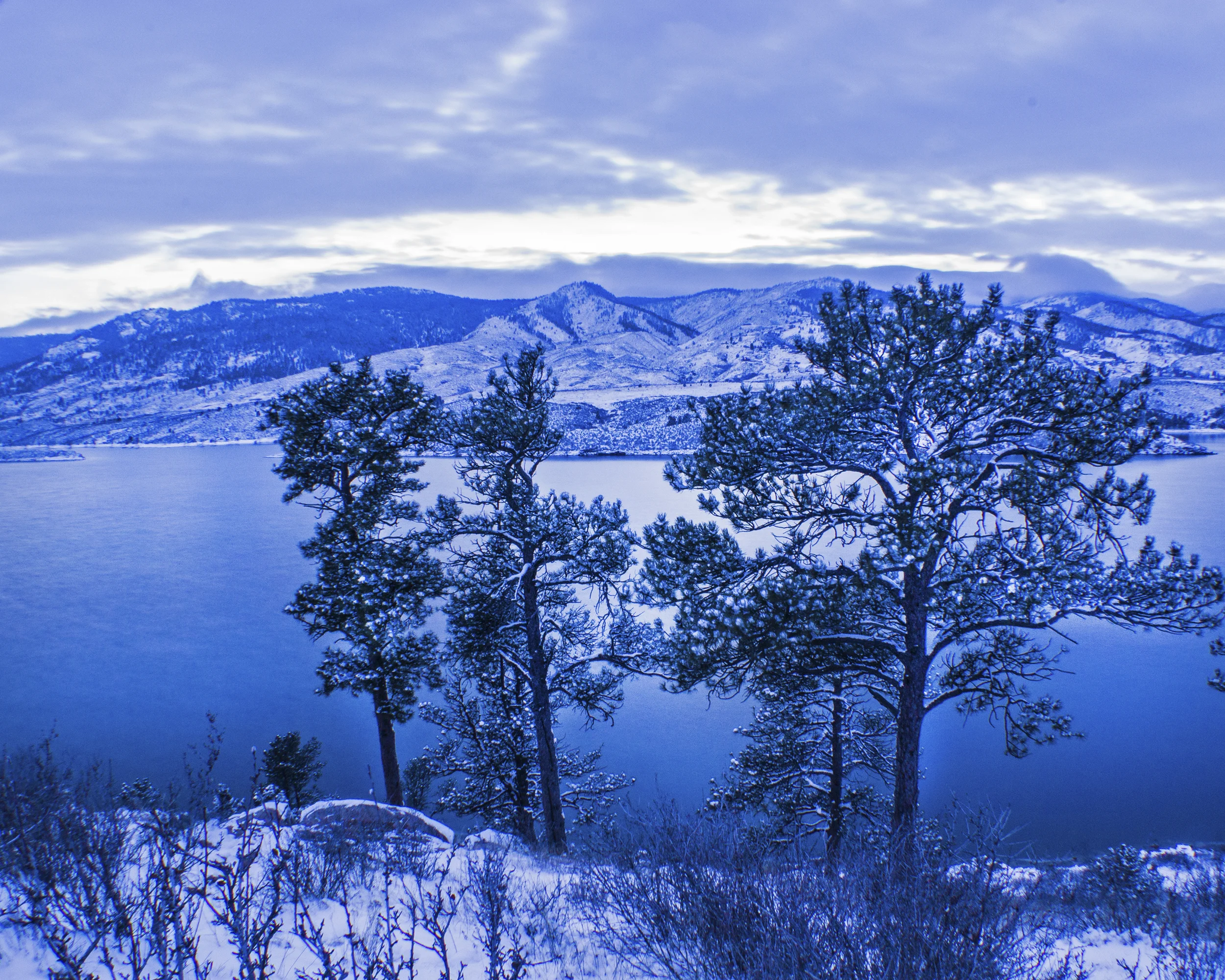 Winter Wonderland