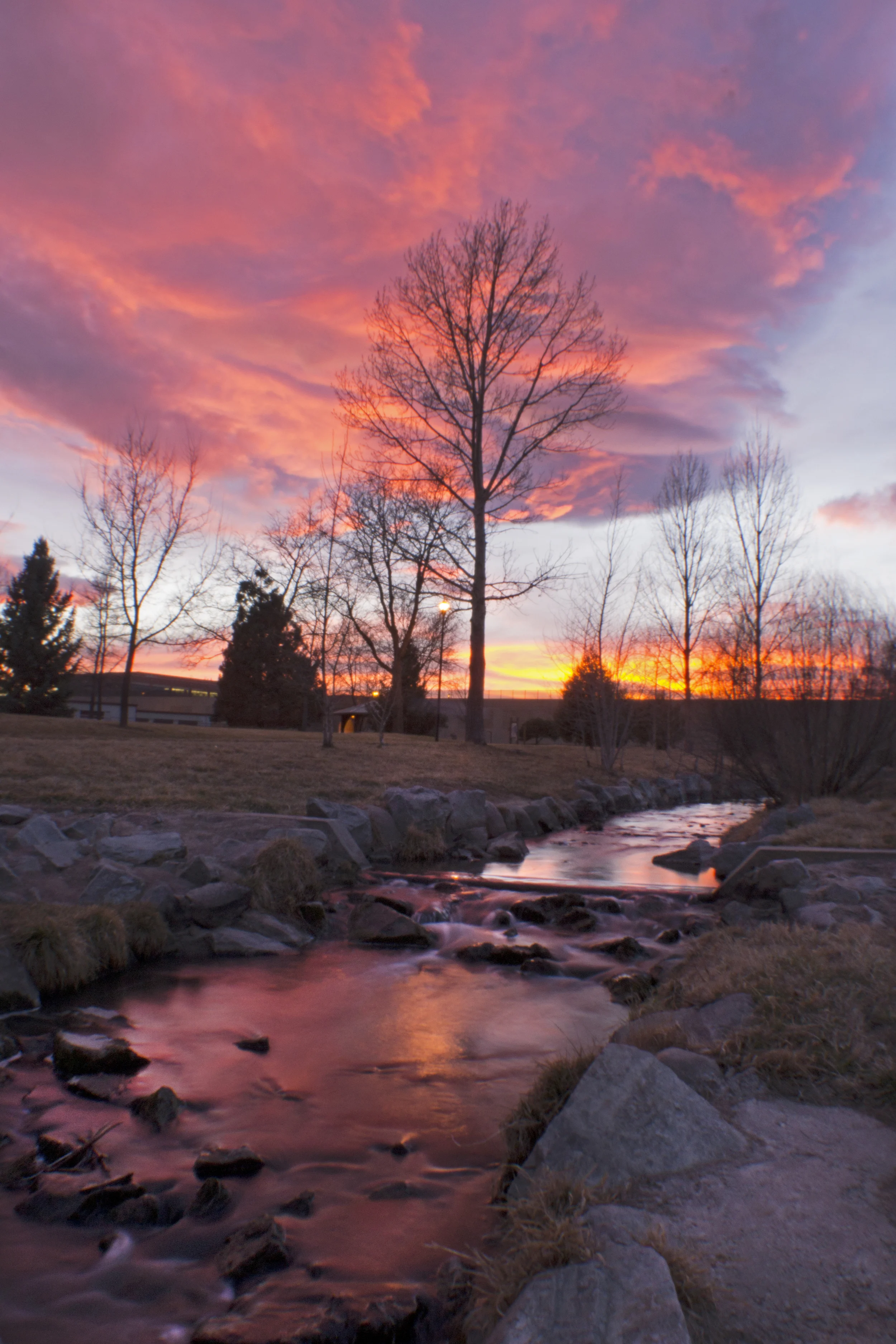 Spring Creek at Sunset