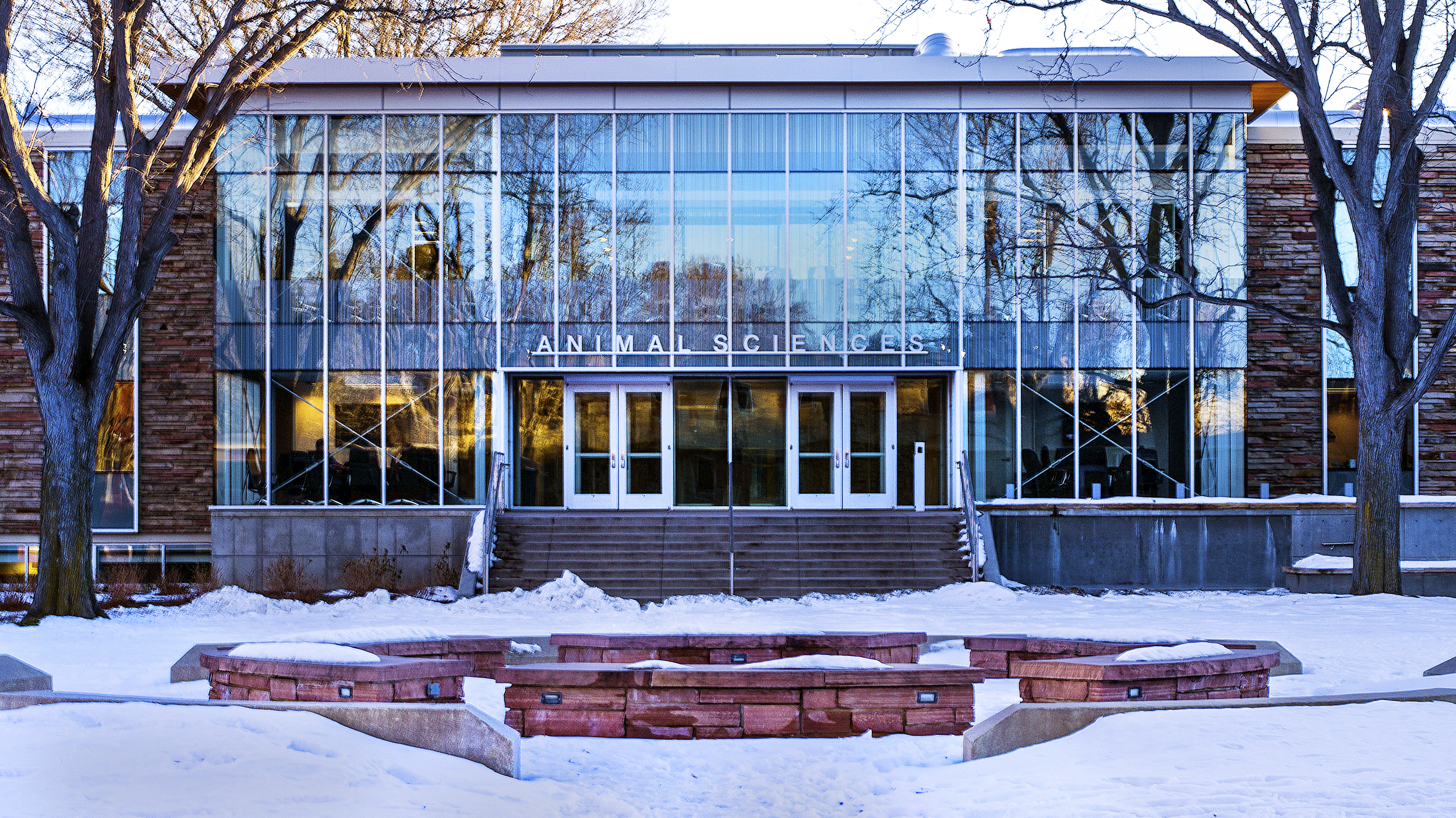 Animal Sciences