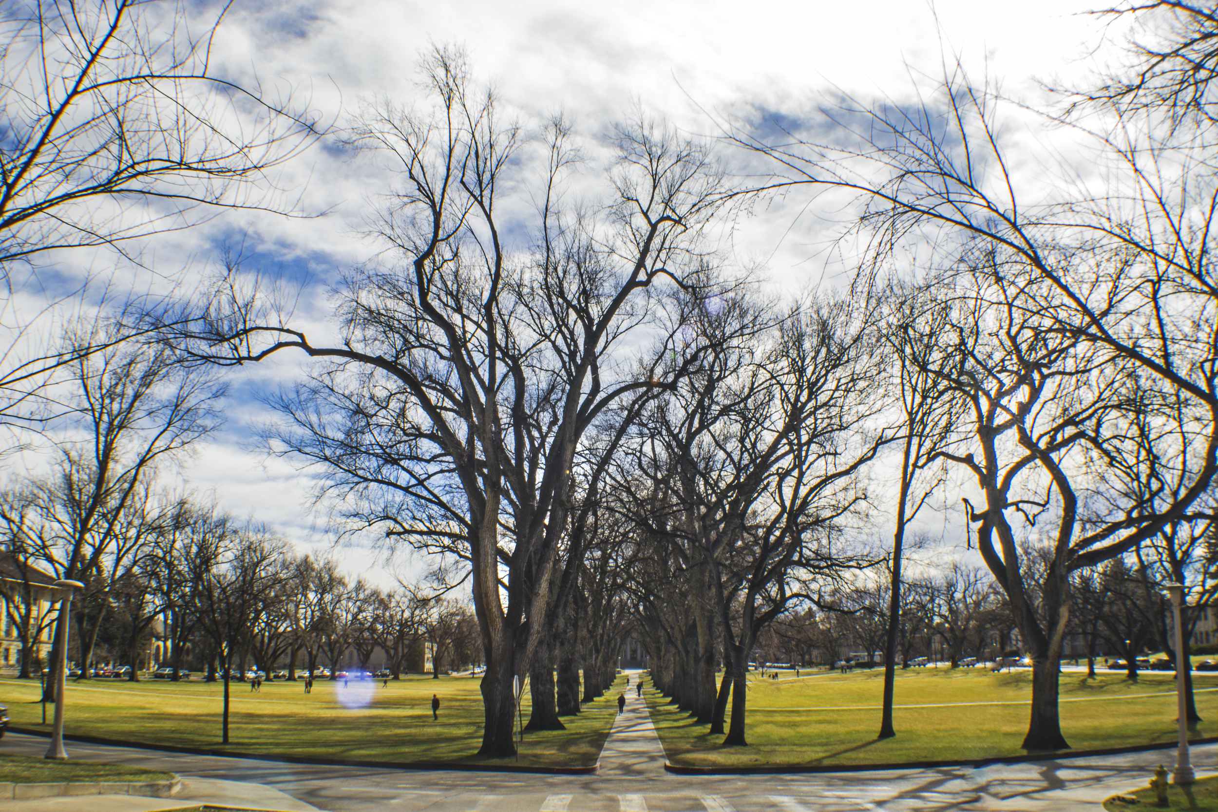 Sunshine on the Oval
