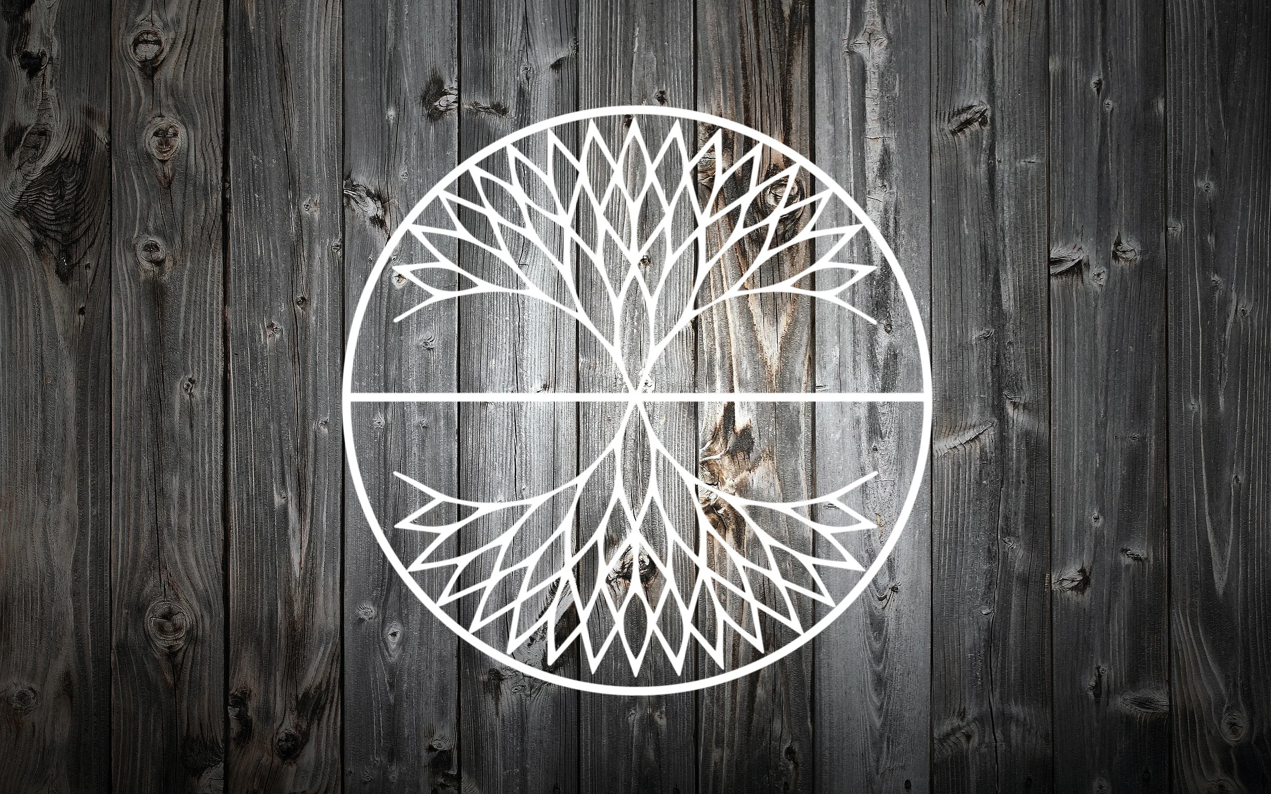 Fondo Categorias.jpg