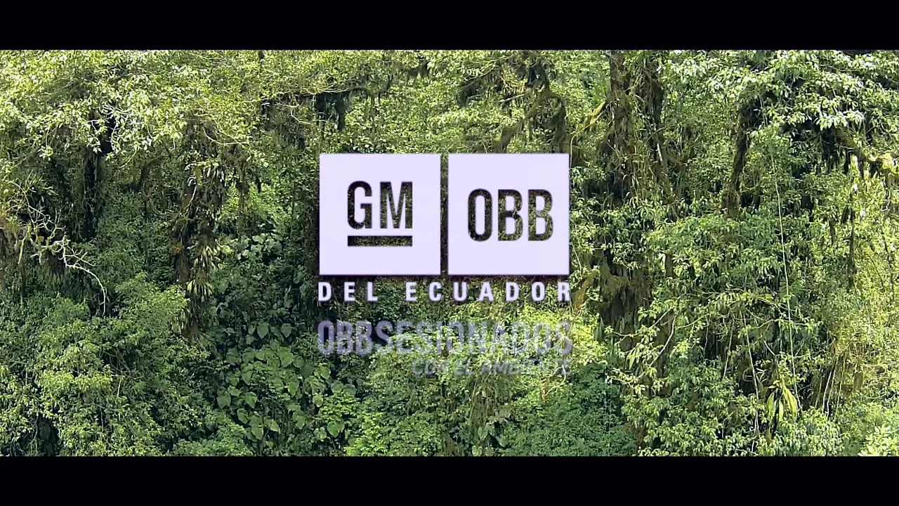 Director :  Lobo/Juampi GM OBB