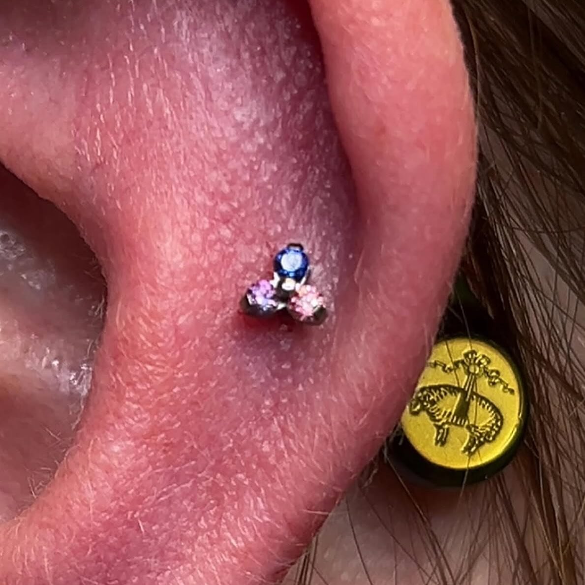 Piercing done by our apprentice Aaron. He’s in the studio Monday-Friday and is doing discounts on all helix, conch,flats, lobes, and nostrils! Walk ins welcome!