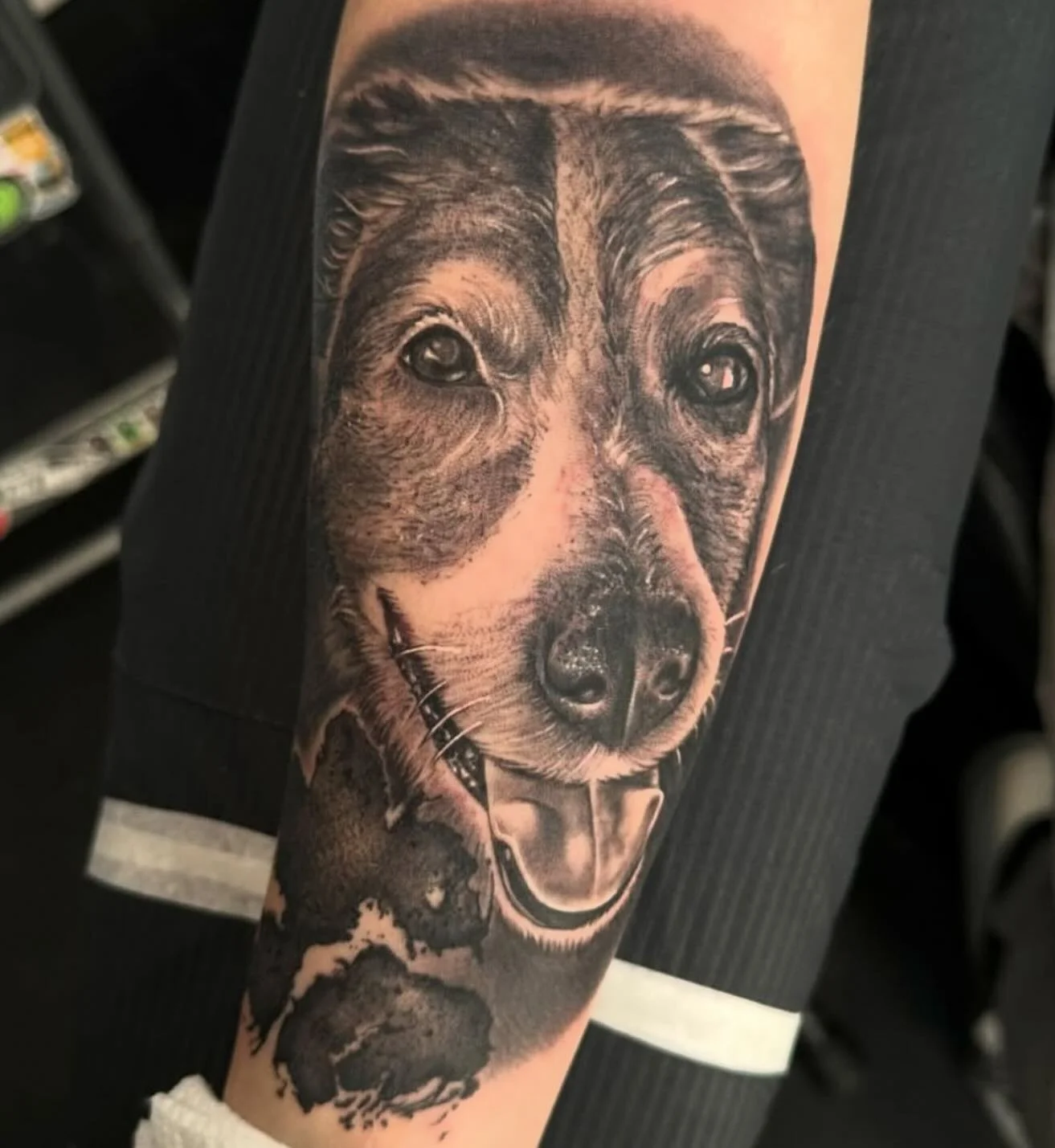 Check out this amazing pup portrait done by Dom! He has upcoming availability so please feel free to contact him to get on his books!