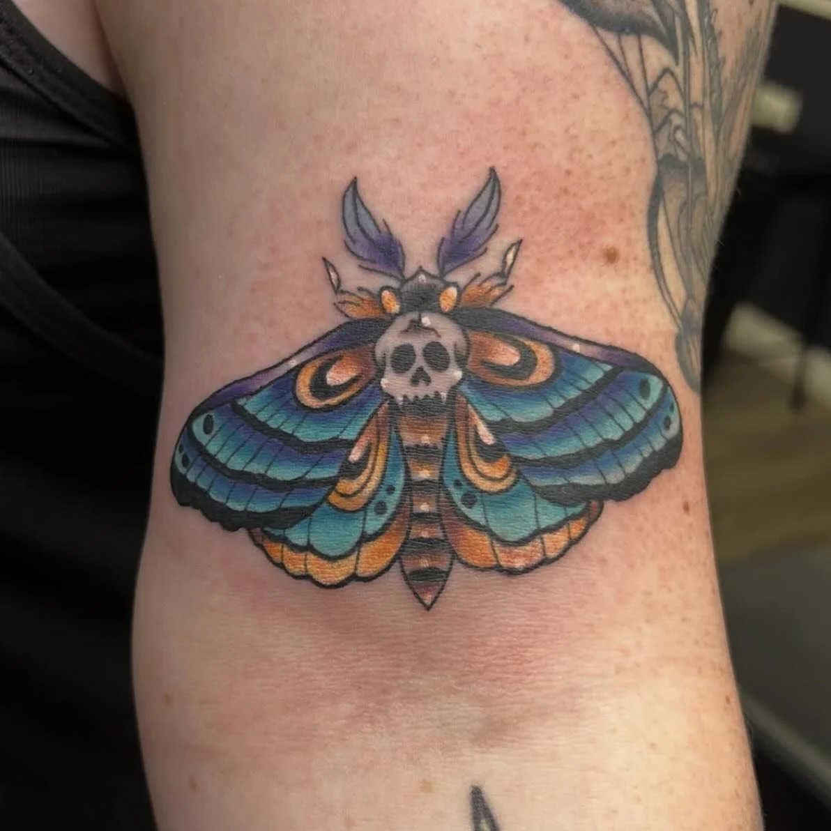 Done by Hailey!