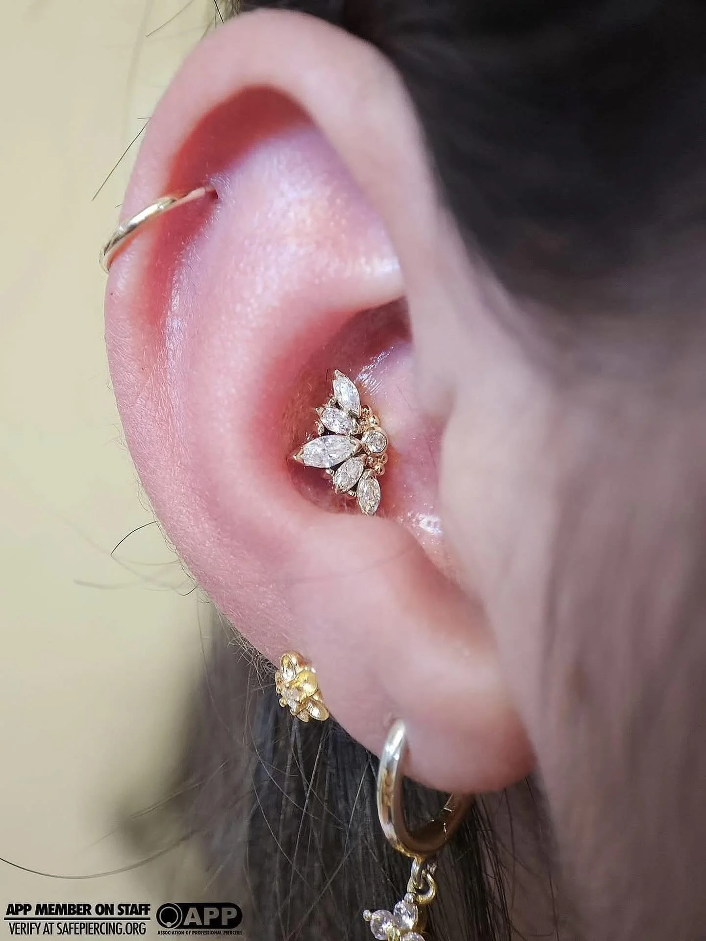 Beautiful piercing done by Liam!