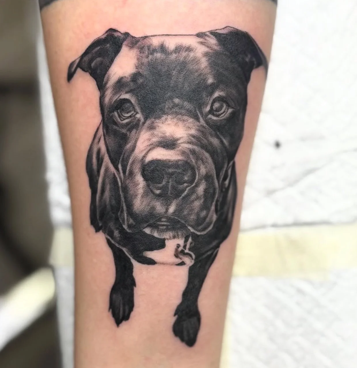 Awesome portrait done by Amy!