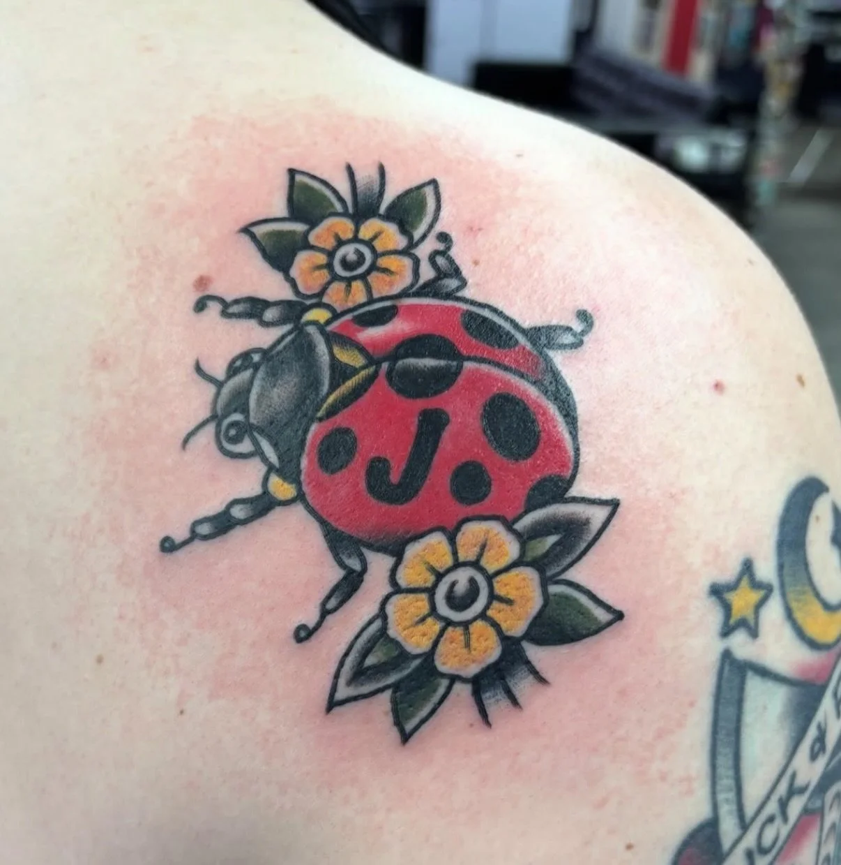Pair of matching ladybugs done by Dan!