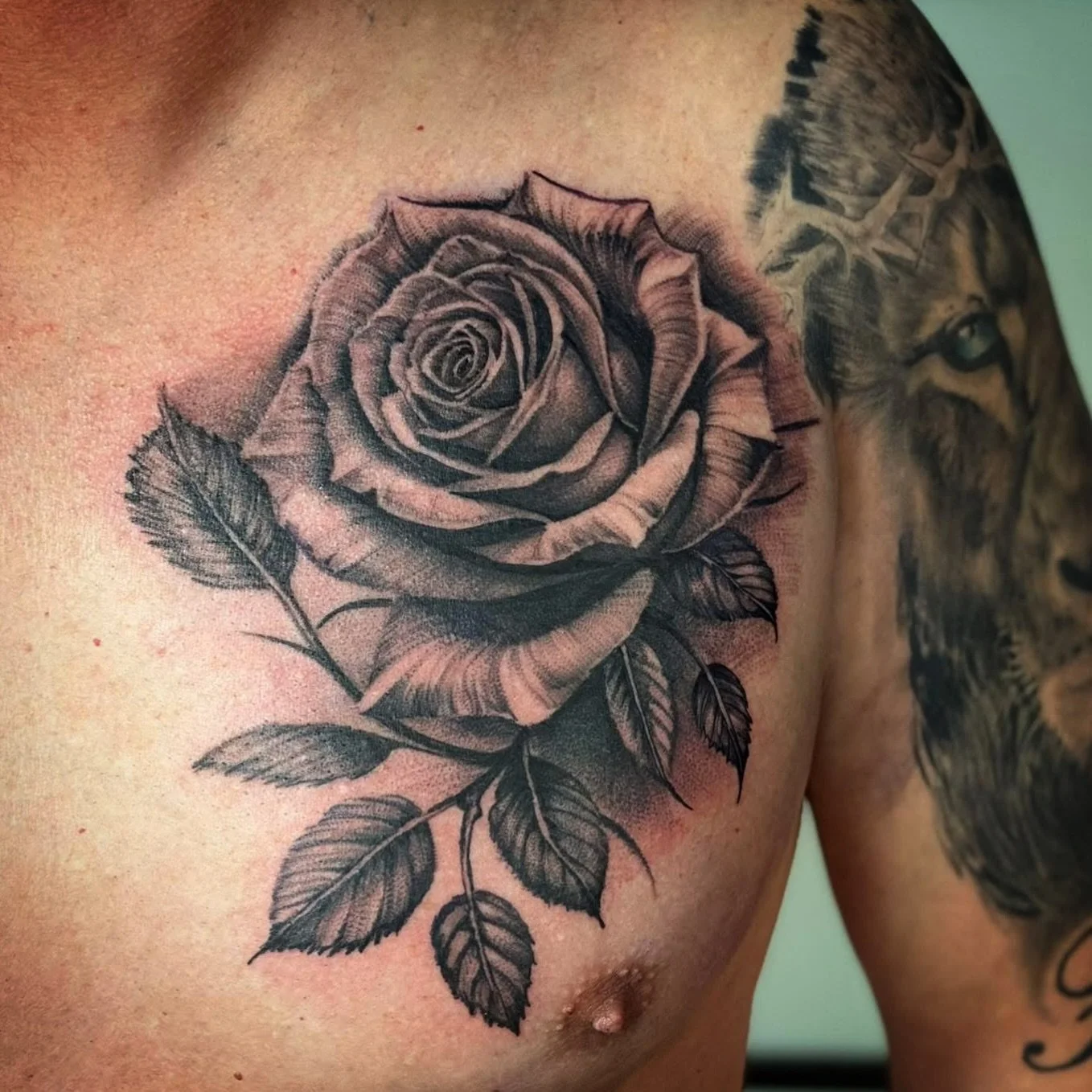 Check out this amazing rose done by George!