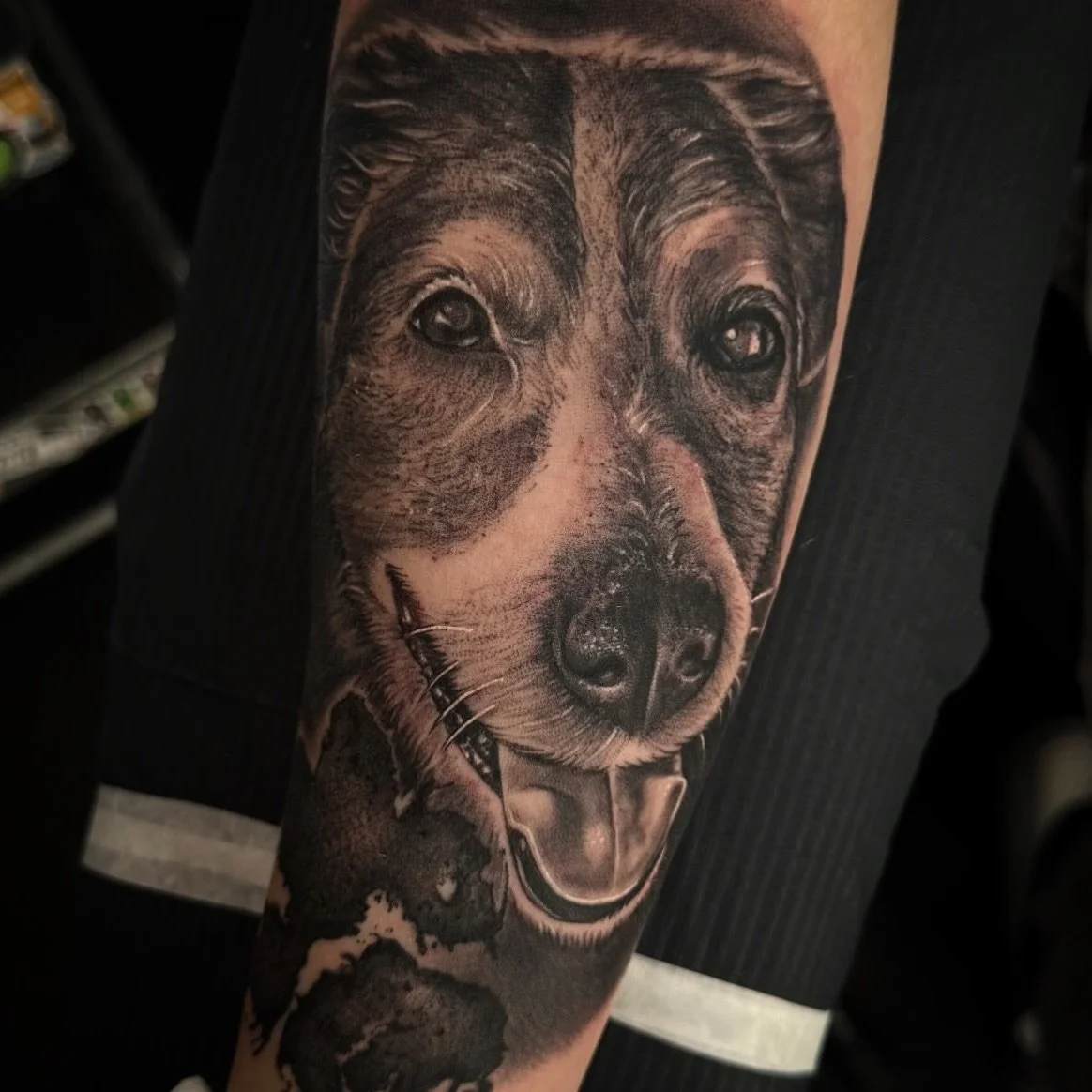 Dog portrait done by Dom! He has some upcoming availability he&rsquo;s looking to fill so don&rsquo;t hesitate to reach out to him! @dom.n.ink
