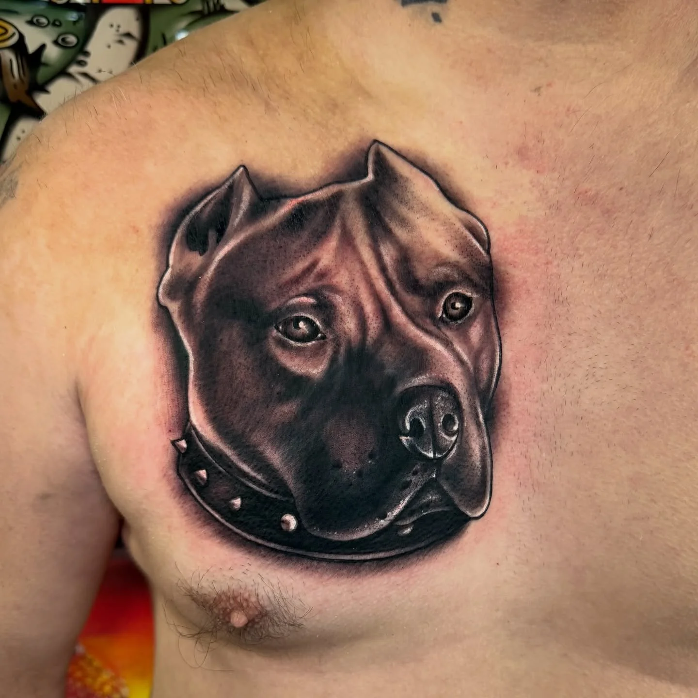 Coverup done by Mikey!
