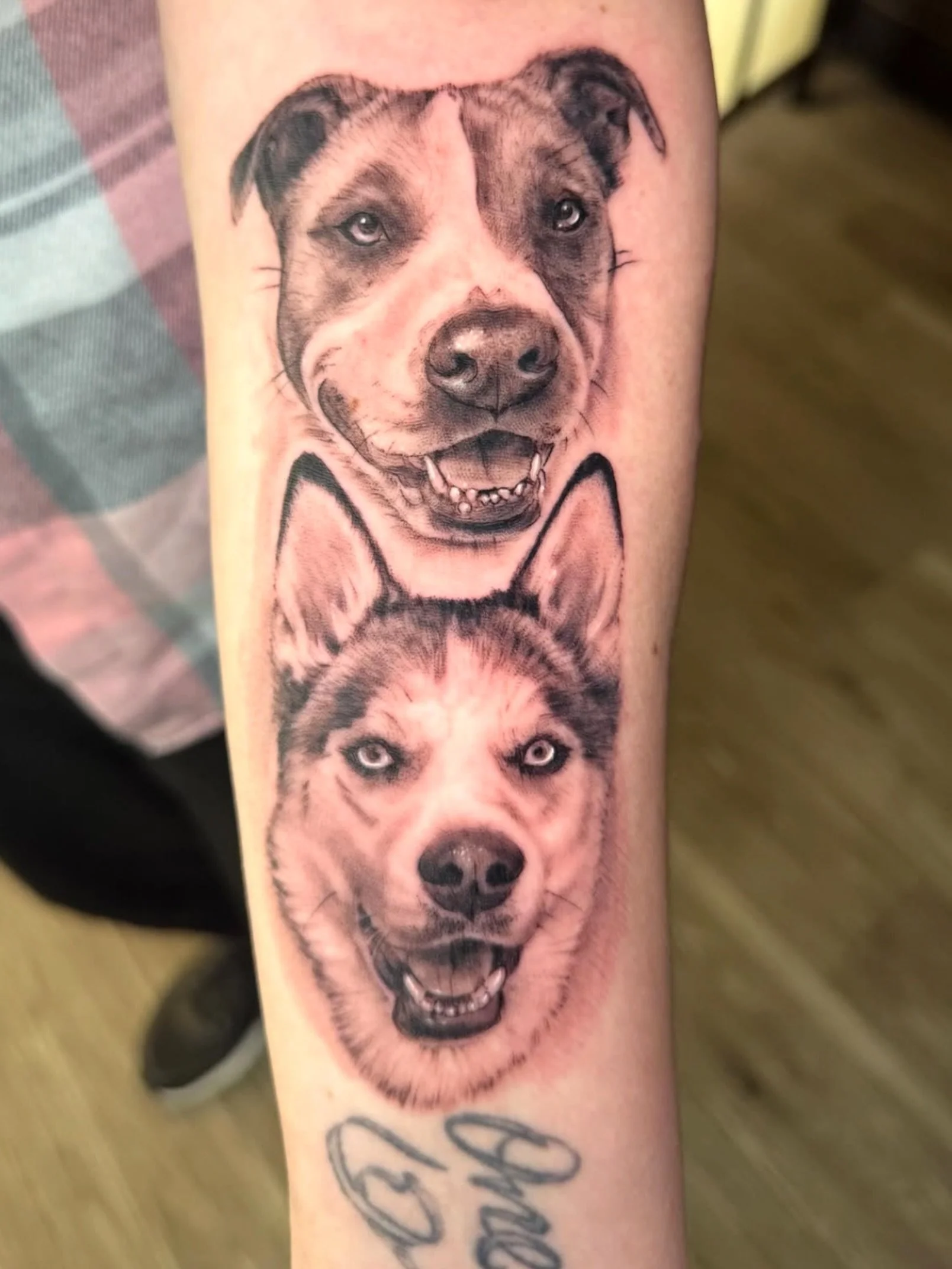 Amazing pup portraits done by Jaimie!