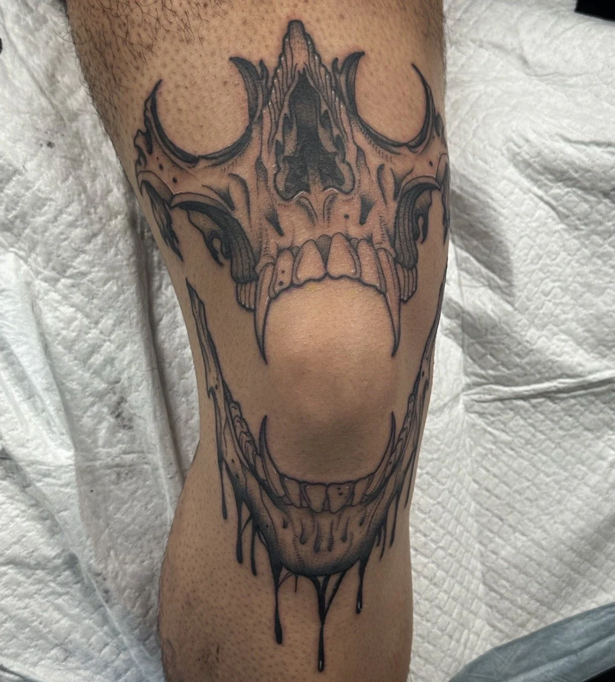 IMG_7112.jpeg