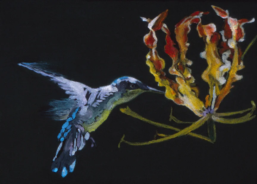 Humming-Bird-4_copy.jpg
