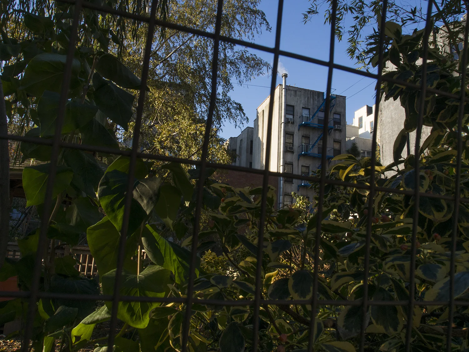 Windows is a project I did while living in New York City during the fall of 2014. It focuses on prime real estate in East Village that for whatever reason is currently left open. 