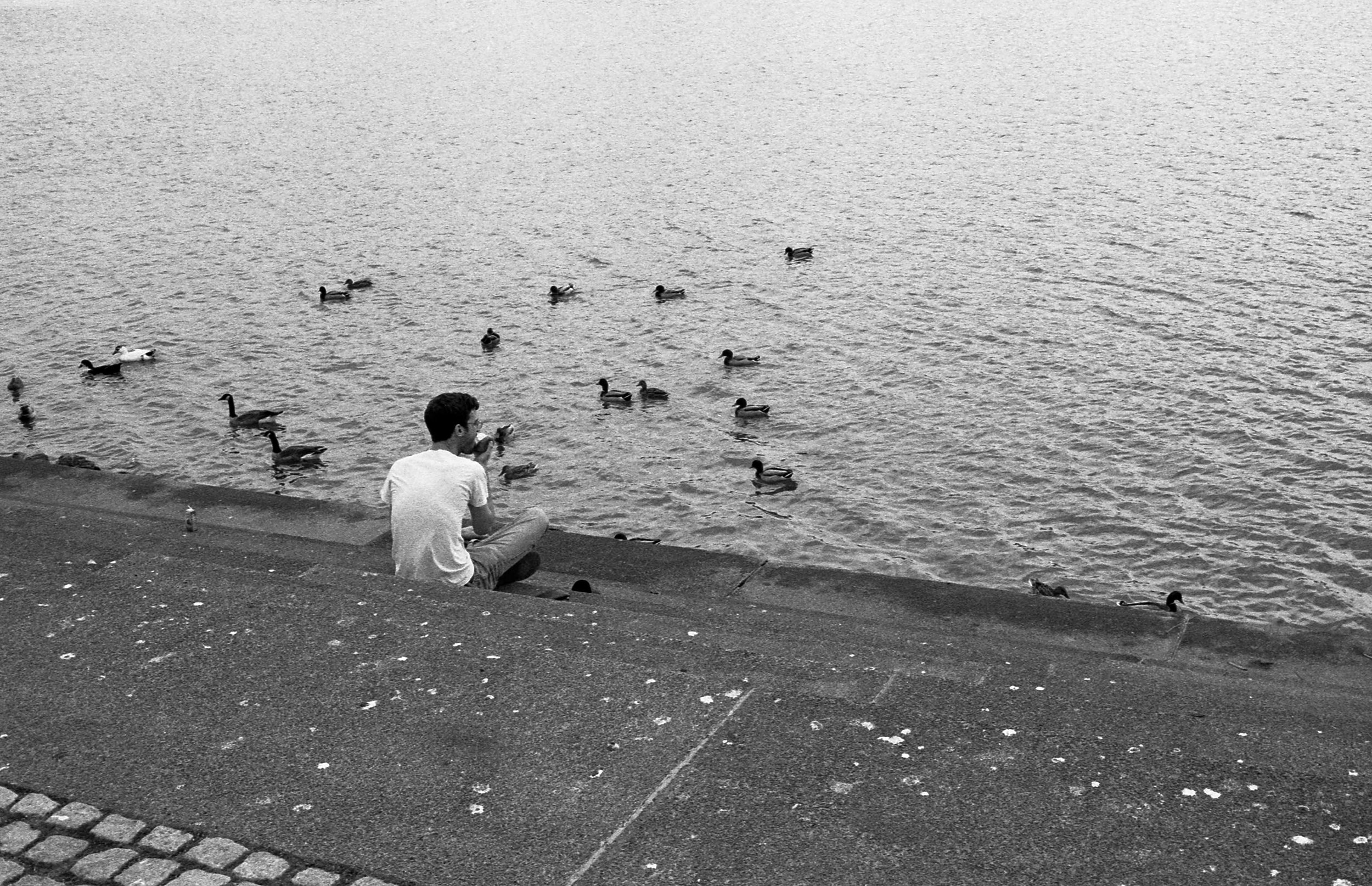 Leicam5_4-8-16-2-003.jpg