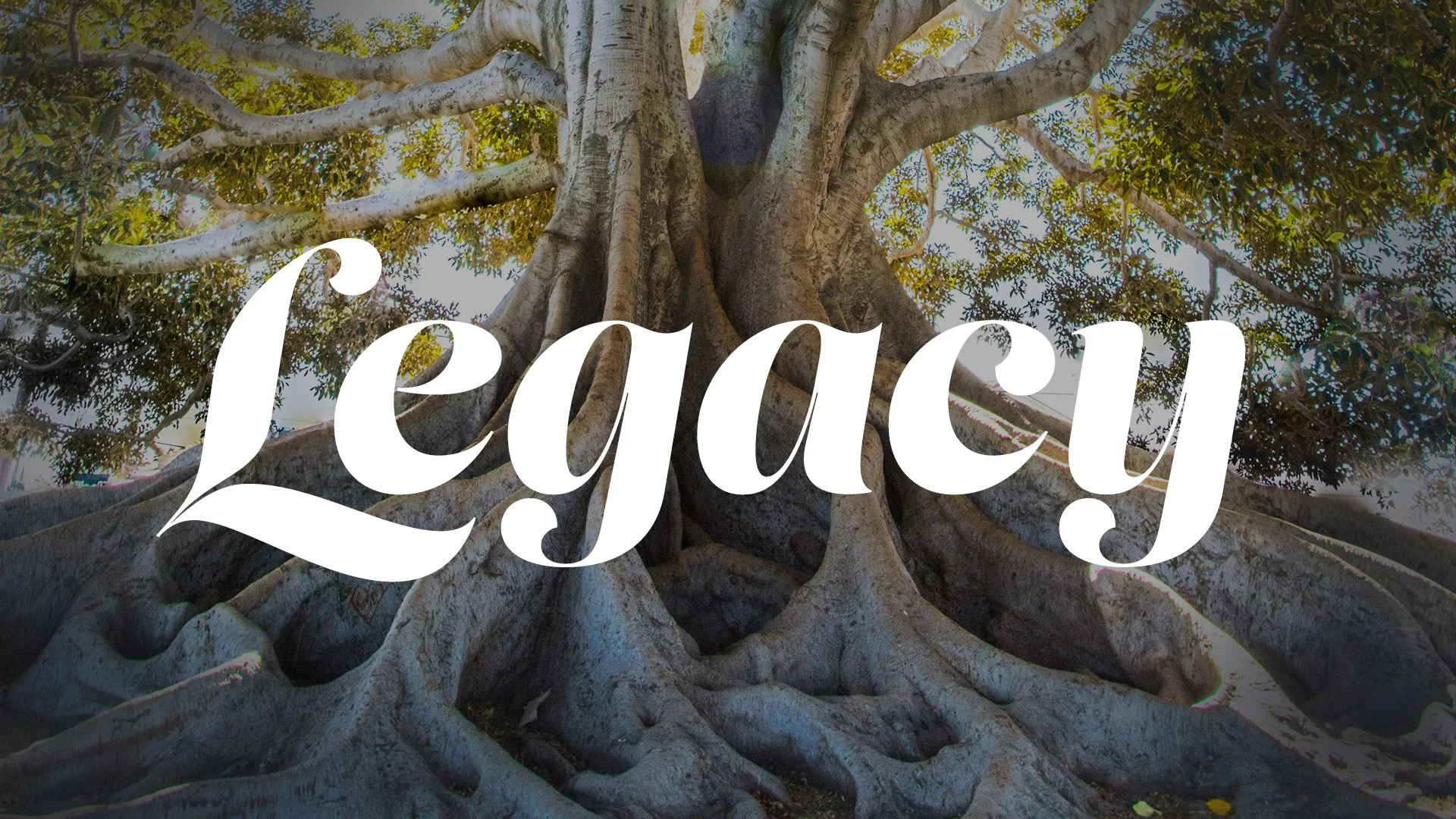 Legacy Banner Website.jpg