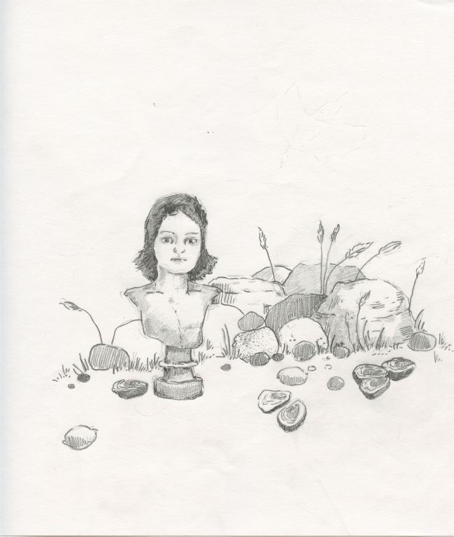 Statuary with Mussels / 2011 / Pencil on Paper / 8 x 8 in