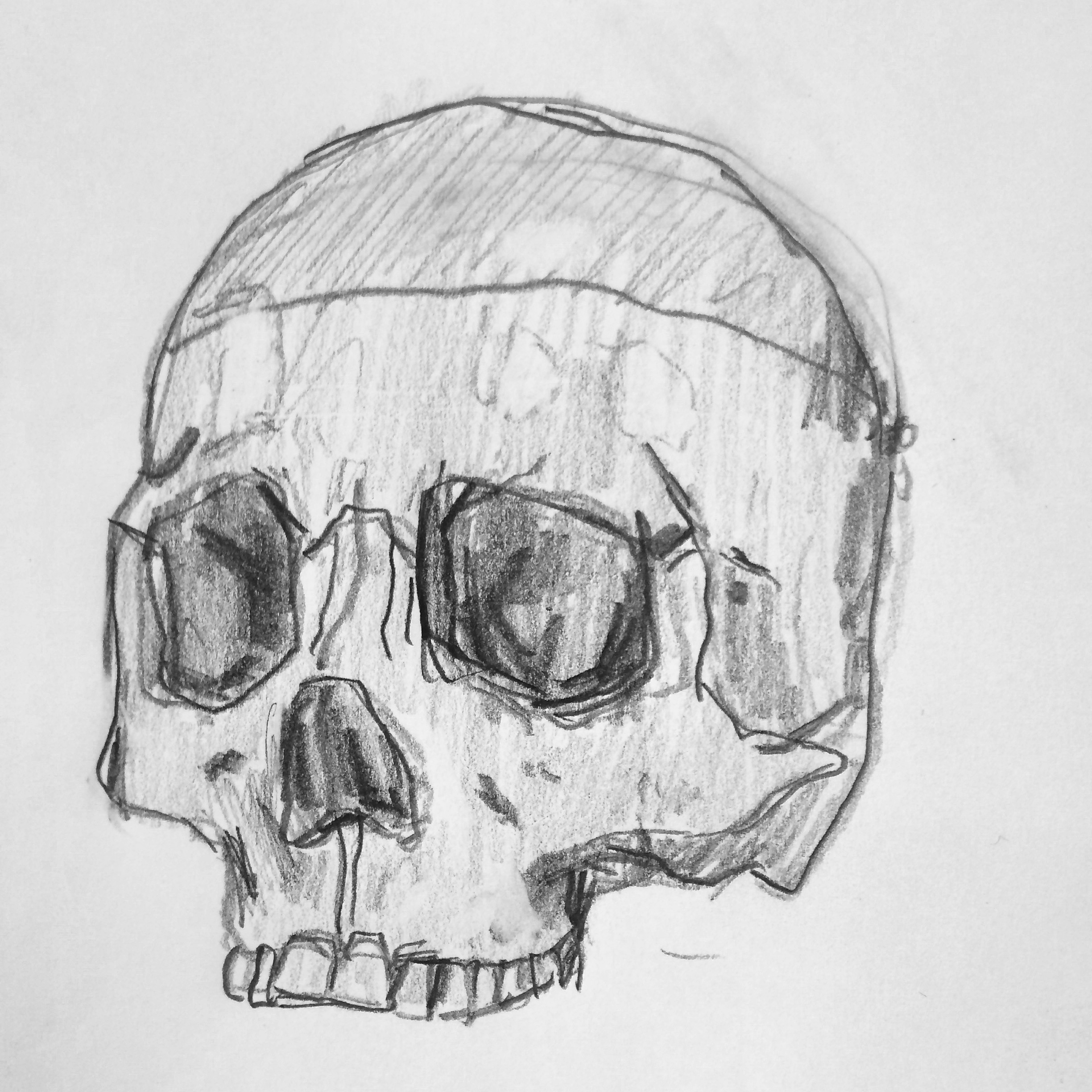 Skull / 2016 / Pencil on Paper / 5 x 7in