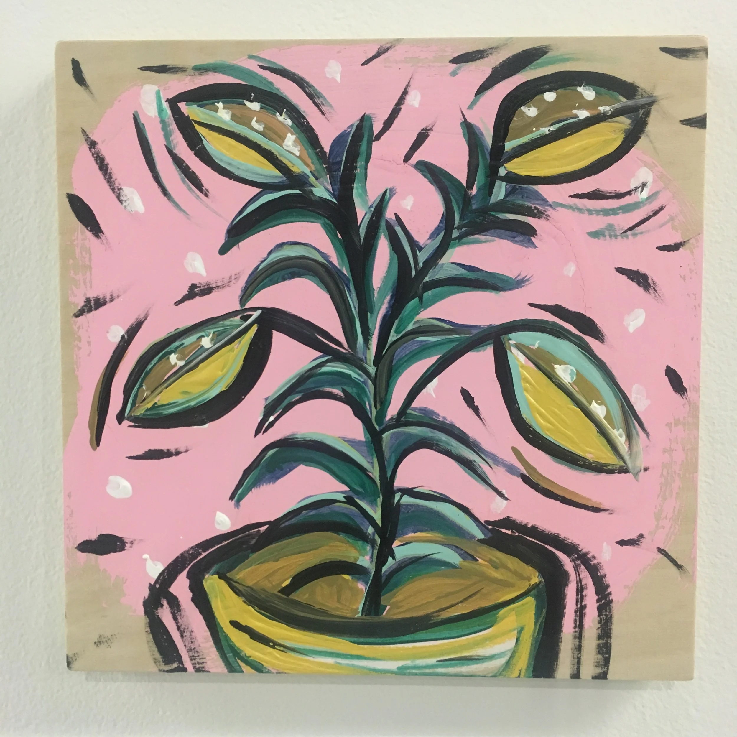 Kim Darling Botanica Series One, no. 7.JPG