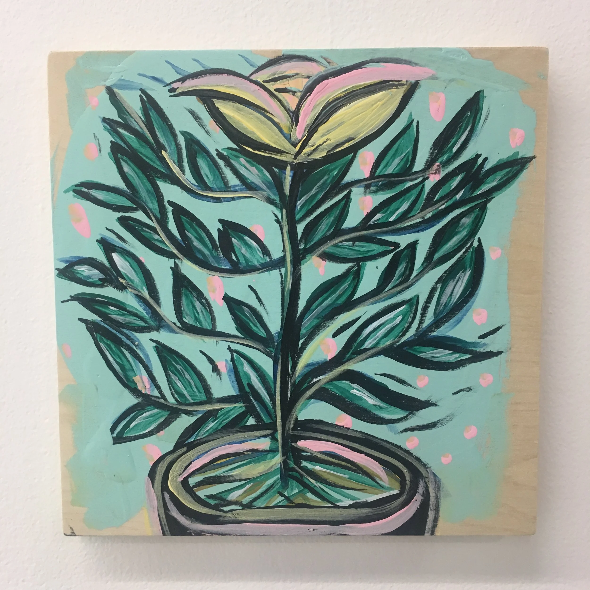 Kim Darling Botanica Series One, no. 4.JPG