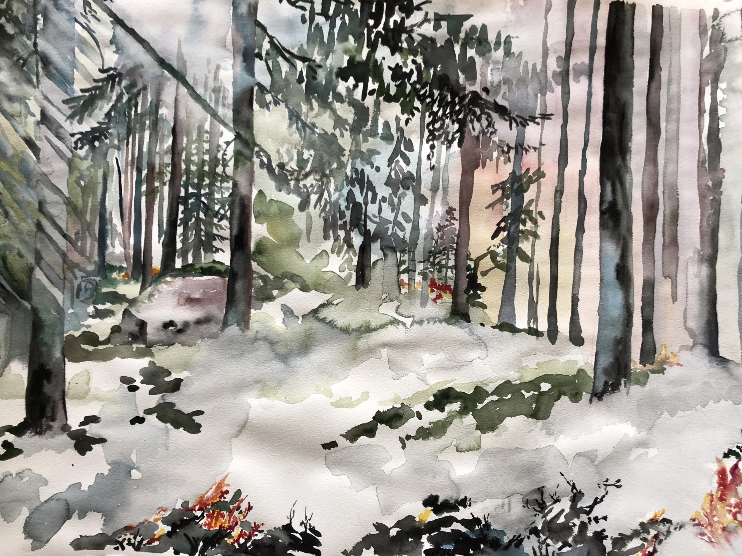 Jamie Vasta Woods 2.JPG