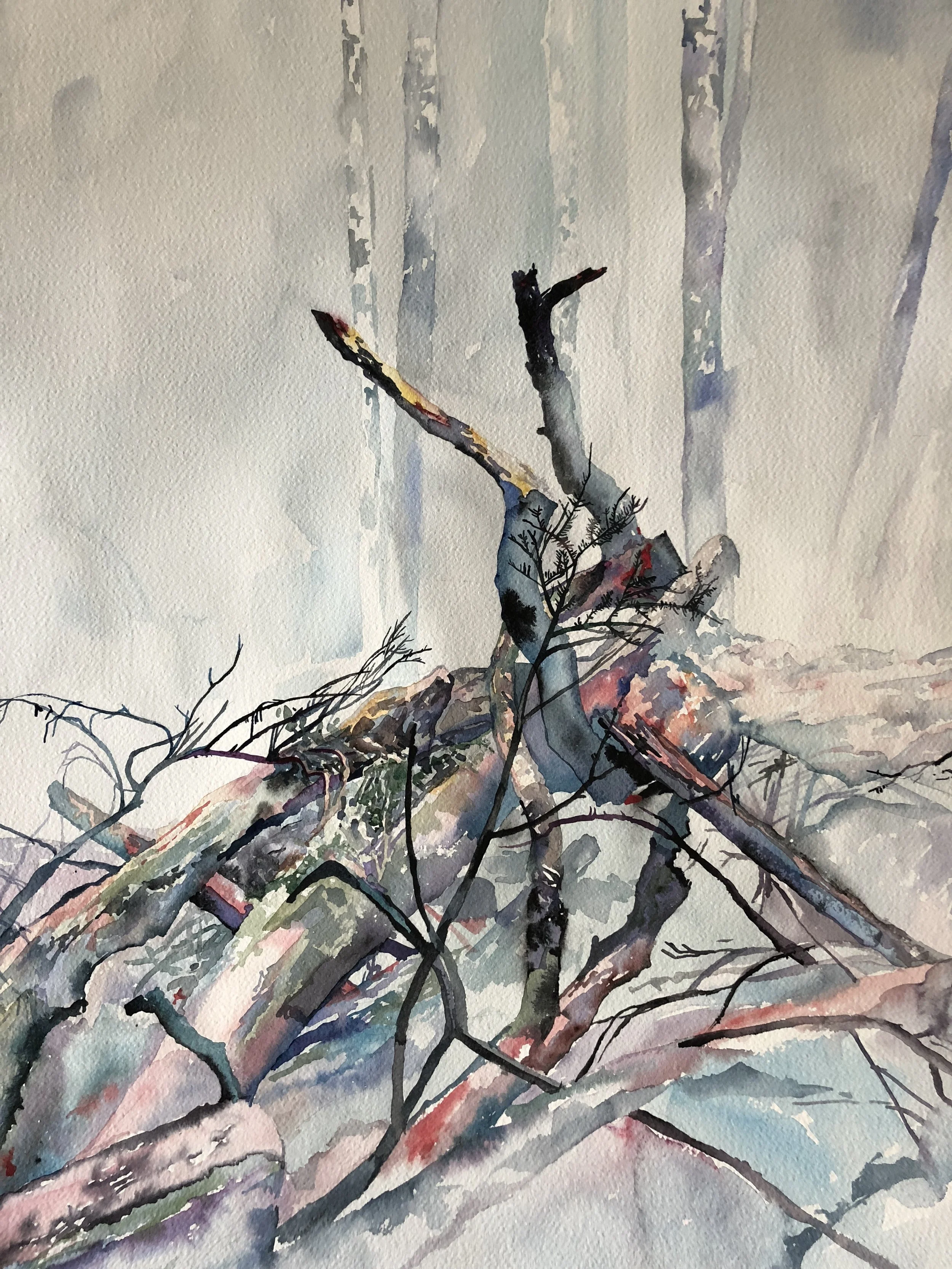 Jamie Vasta Woods 4.JPG