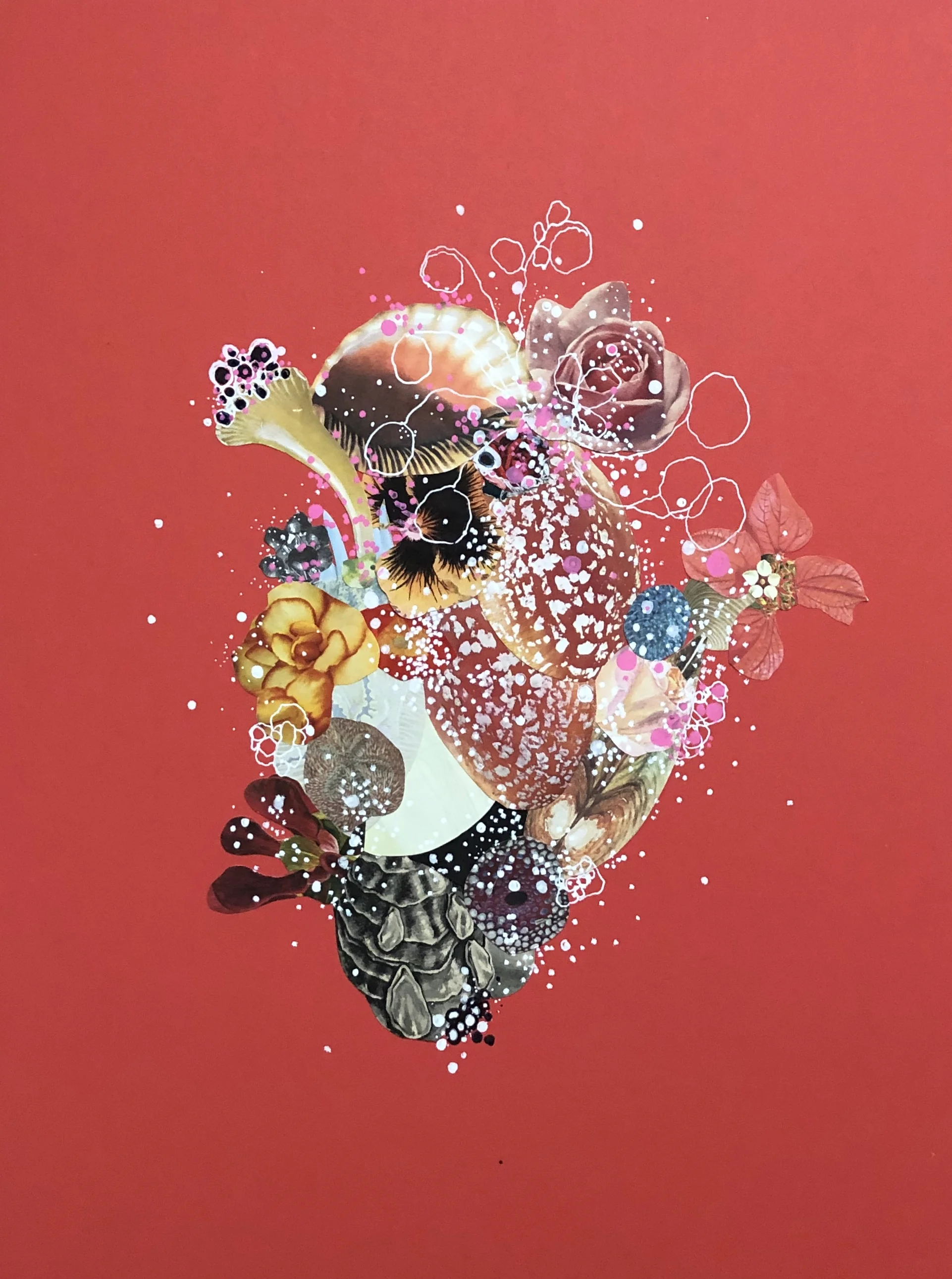 28ADF4D8-7B11-4790-BEC7-3A77594BC5DA