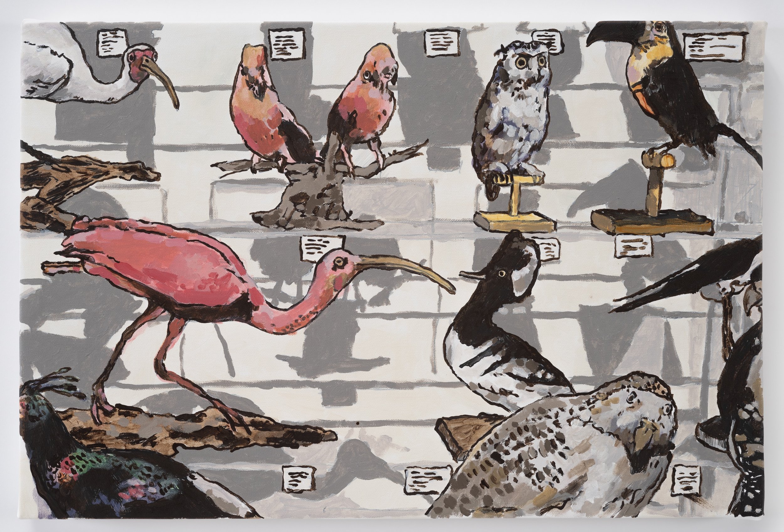 Bird Display at Roger Williams Botanical Museum / 2023 / Acrylic on Canvas / 16 x 24 in / Private Collection
