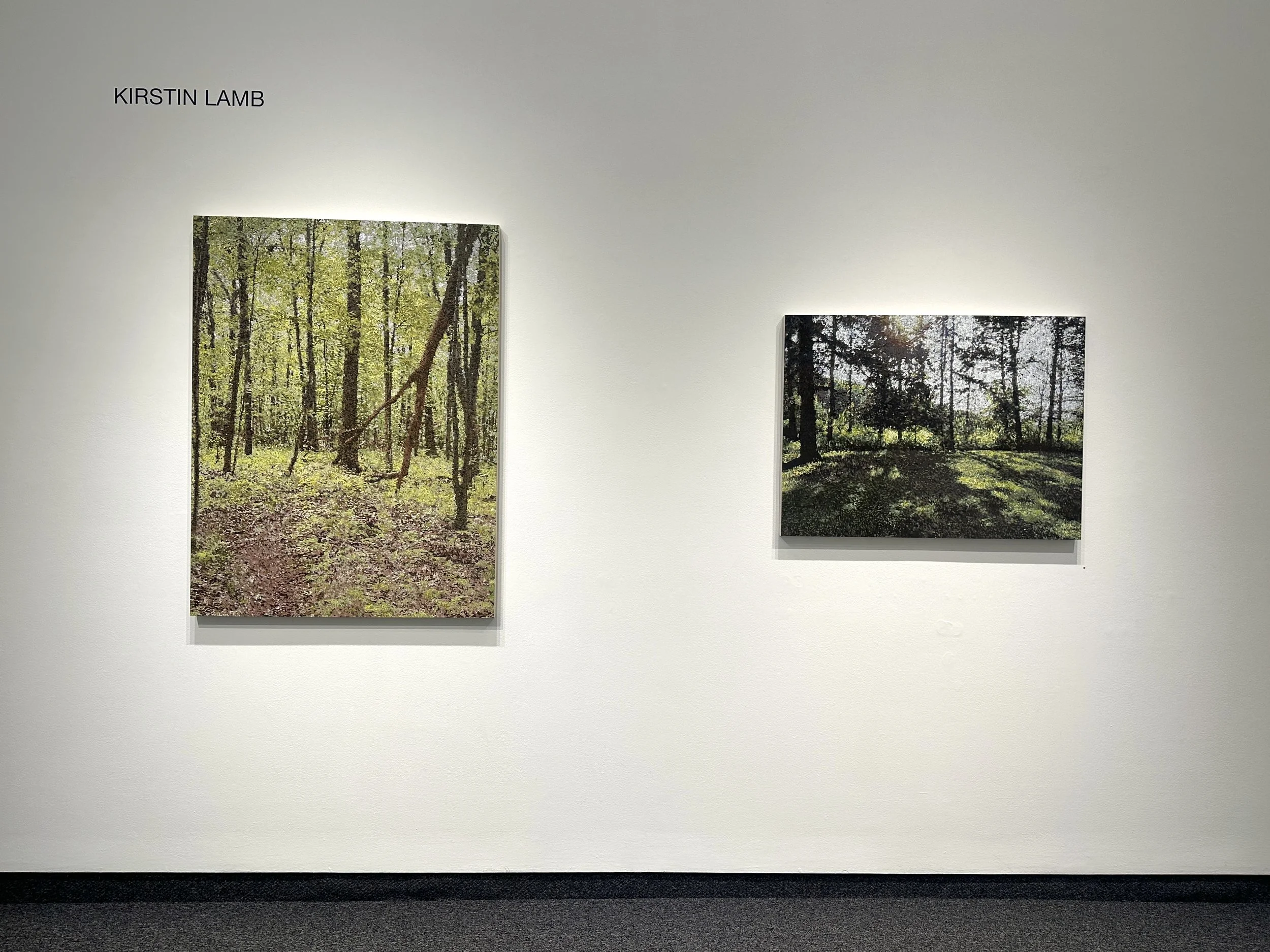 Gallery NAGA / Boston Show install for The Woods / September 2025