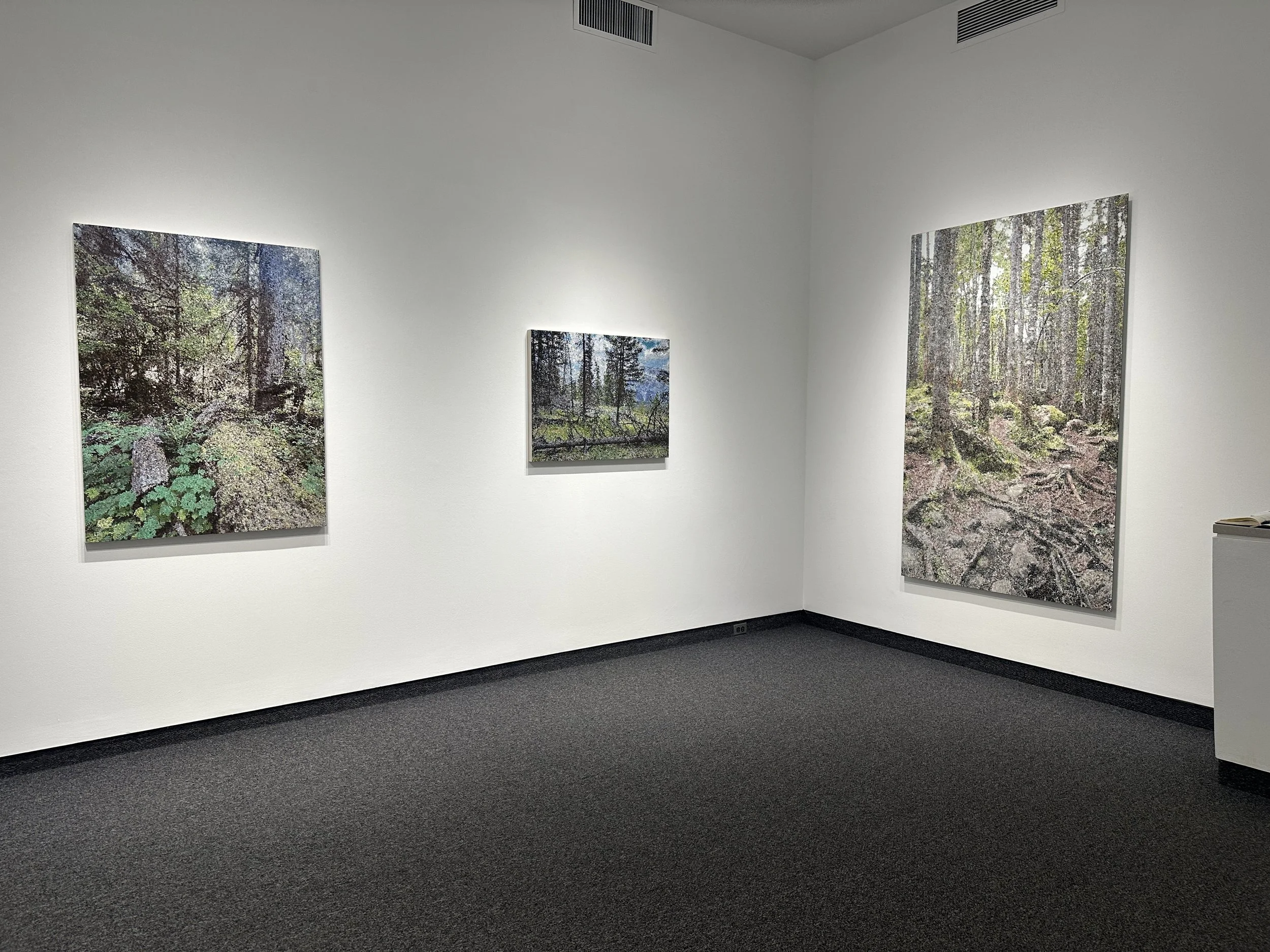 Gallery NAGA / Install for The Woods view 2 / September 2025