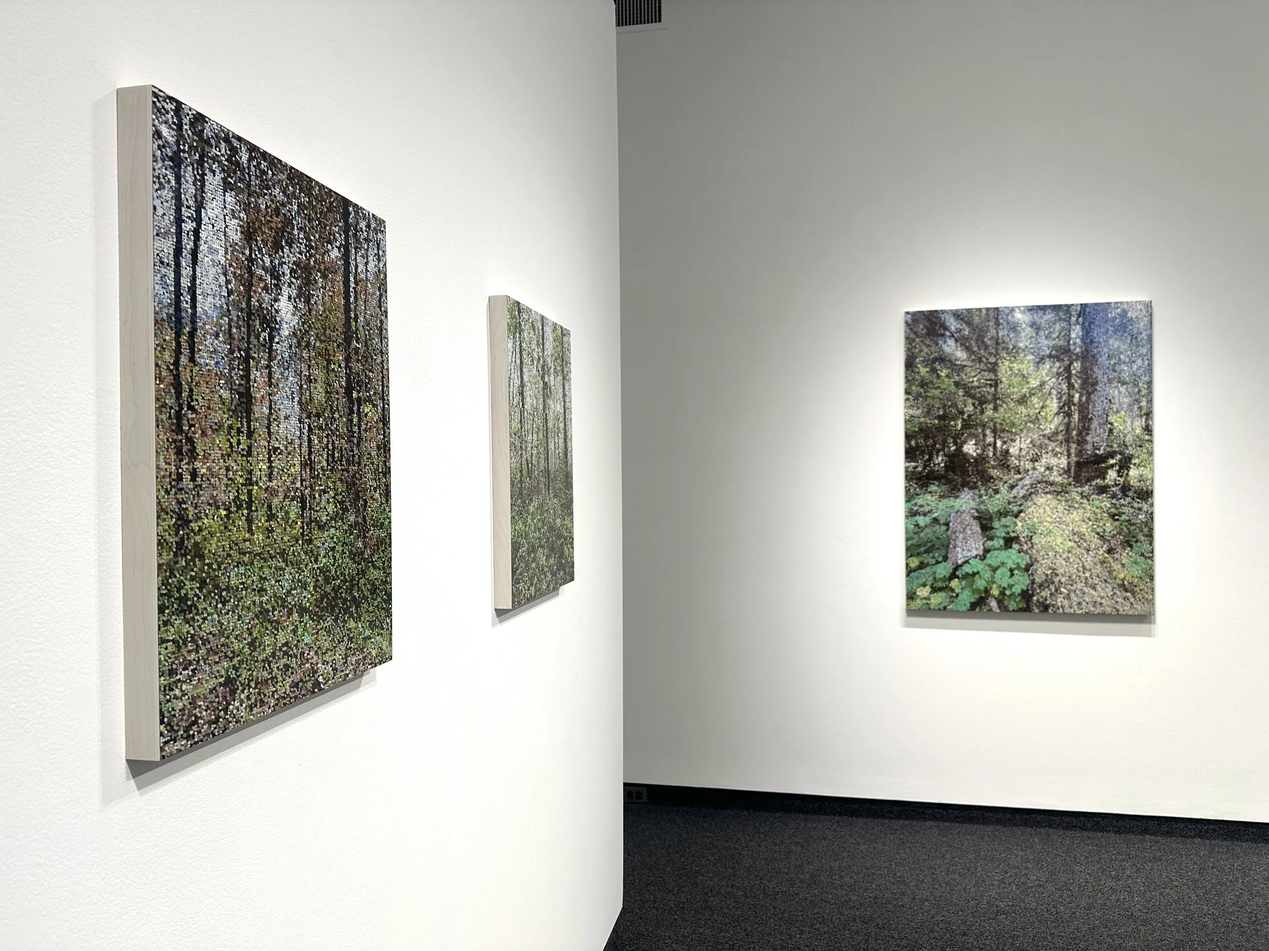 Gallery NAGA / Install for The Woods / View 3 / September 2025