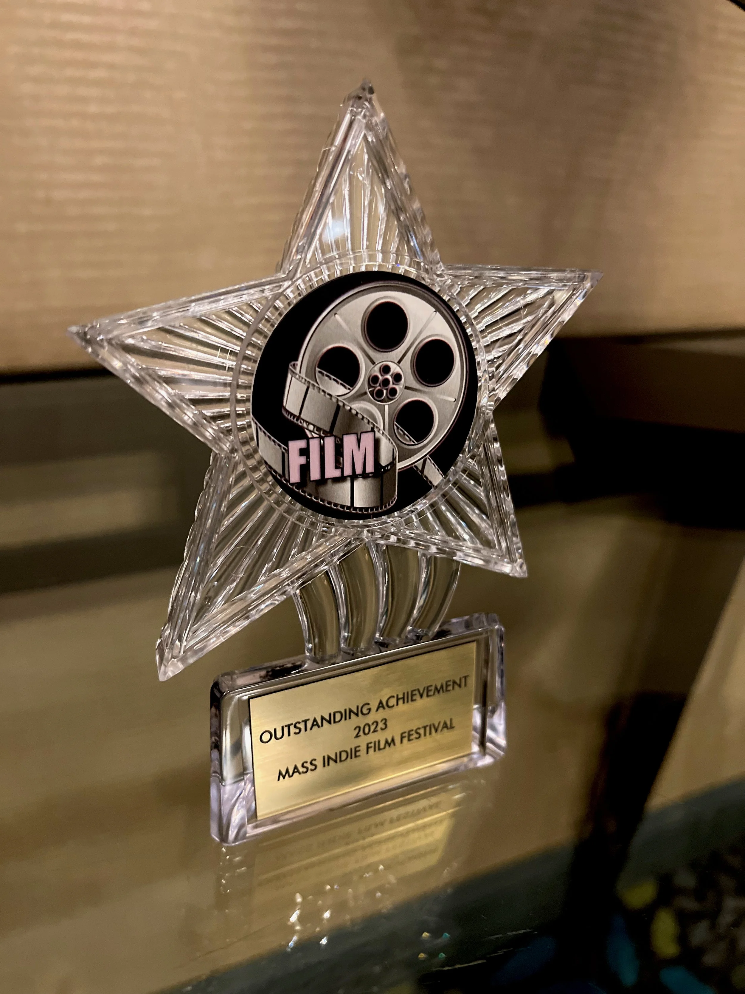 "Teacher of the Year" Wins Best Experimental Feature Award...