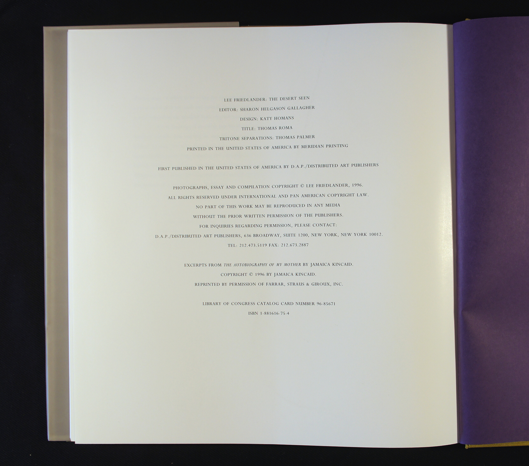 The Desert Seen — HAYWIRE PRESS