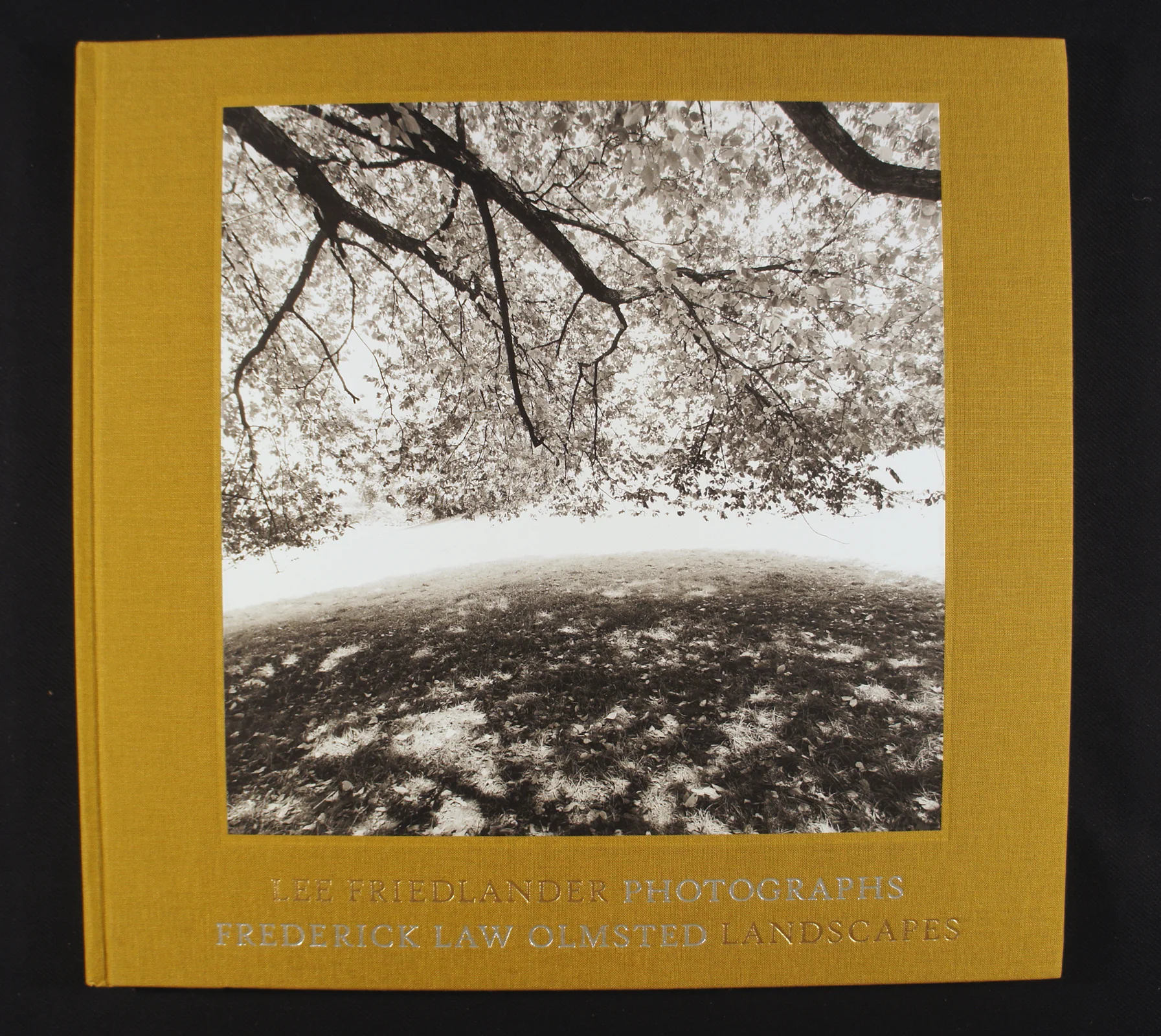 Frederick Law Olmsted Landscapes