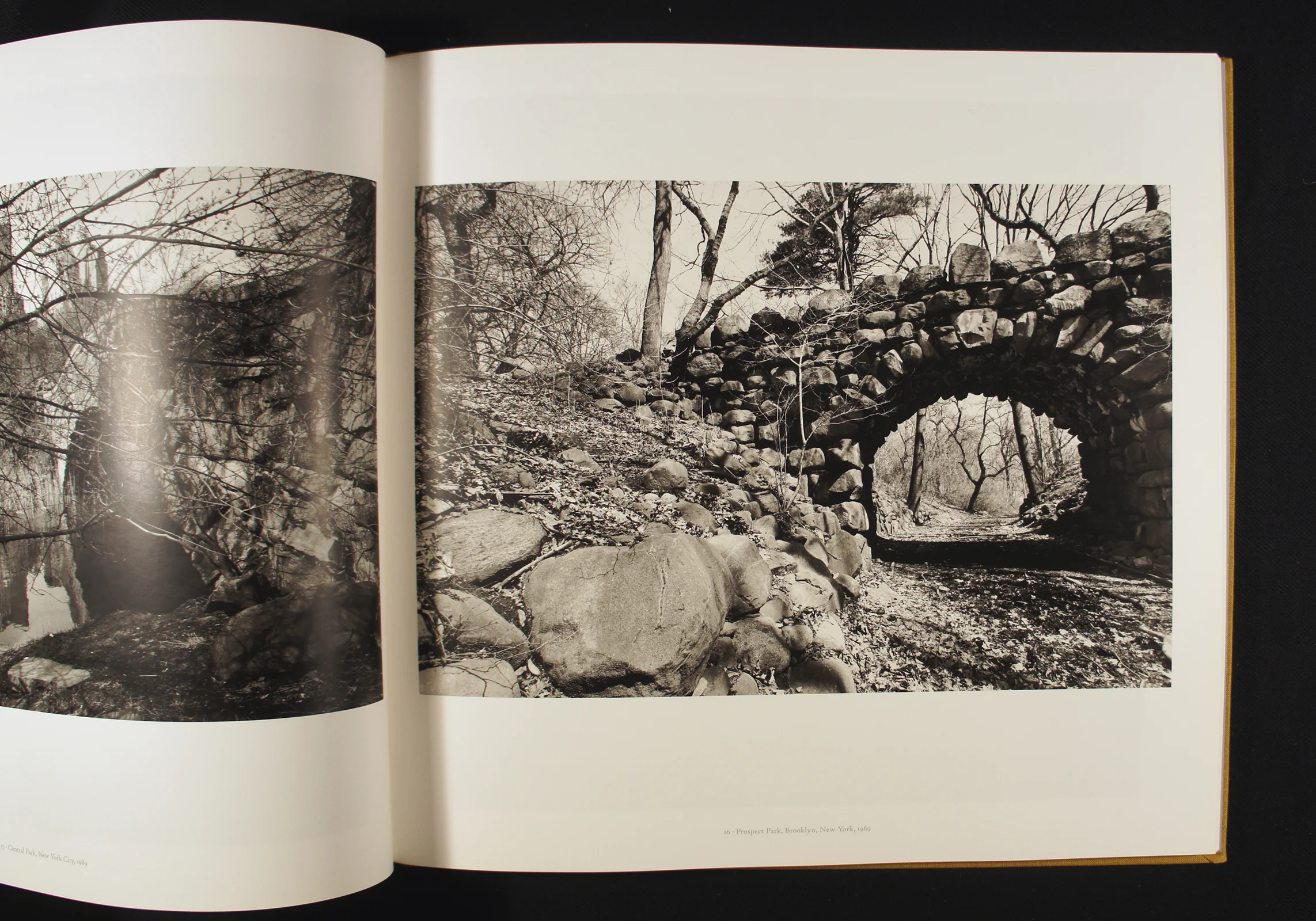 Frederick Law Olmsted Landscapes — HAYWIRE PRESS