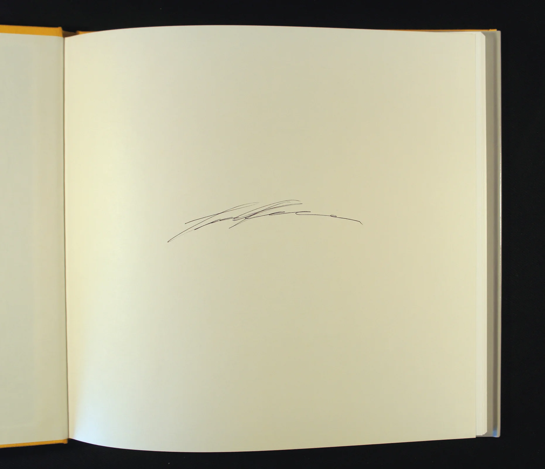 Like a One-Eyed Cat — HAYWIRE PRESS