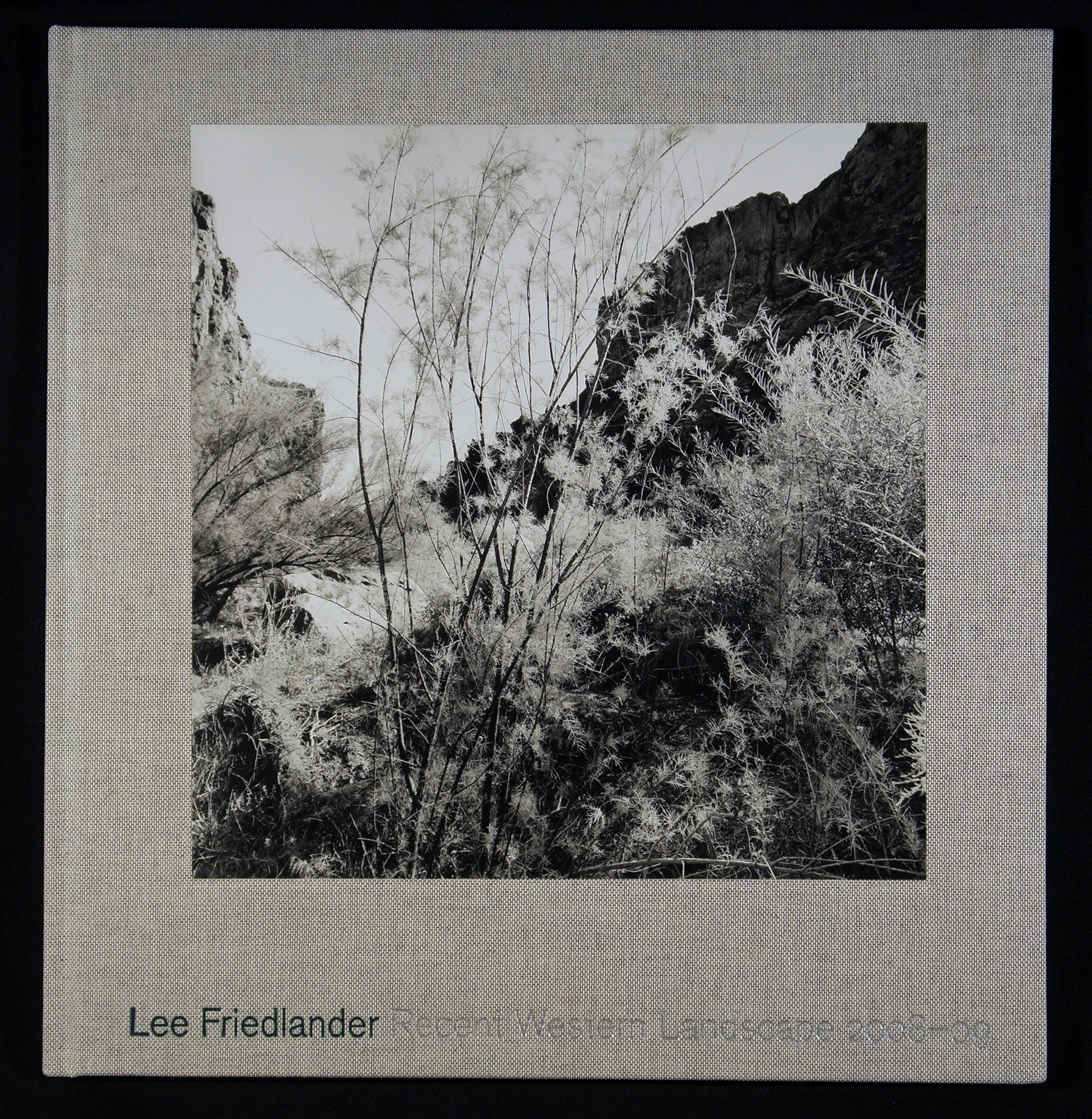 Recent Western Landscape 2008-09