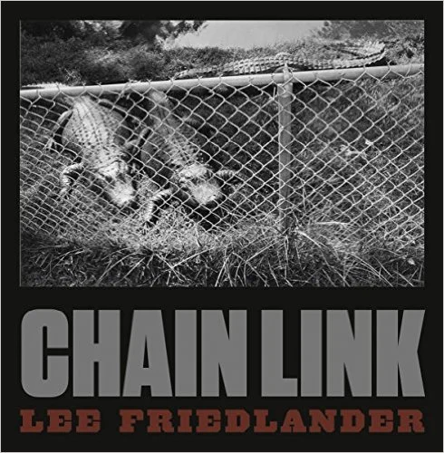 Chain Link 