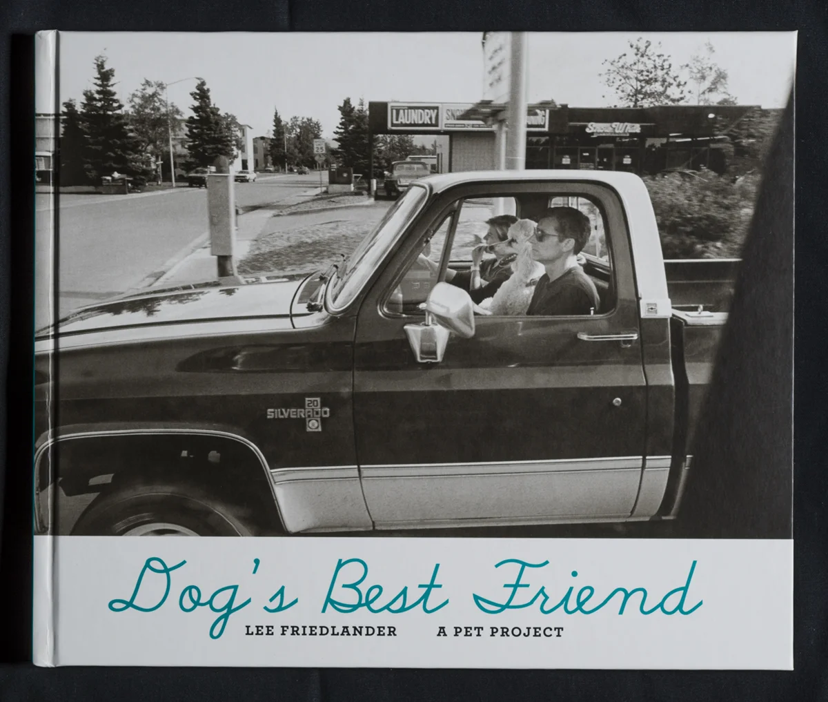 Dog's Best Friend, A Pet Project