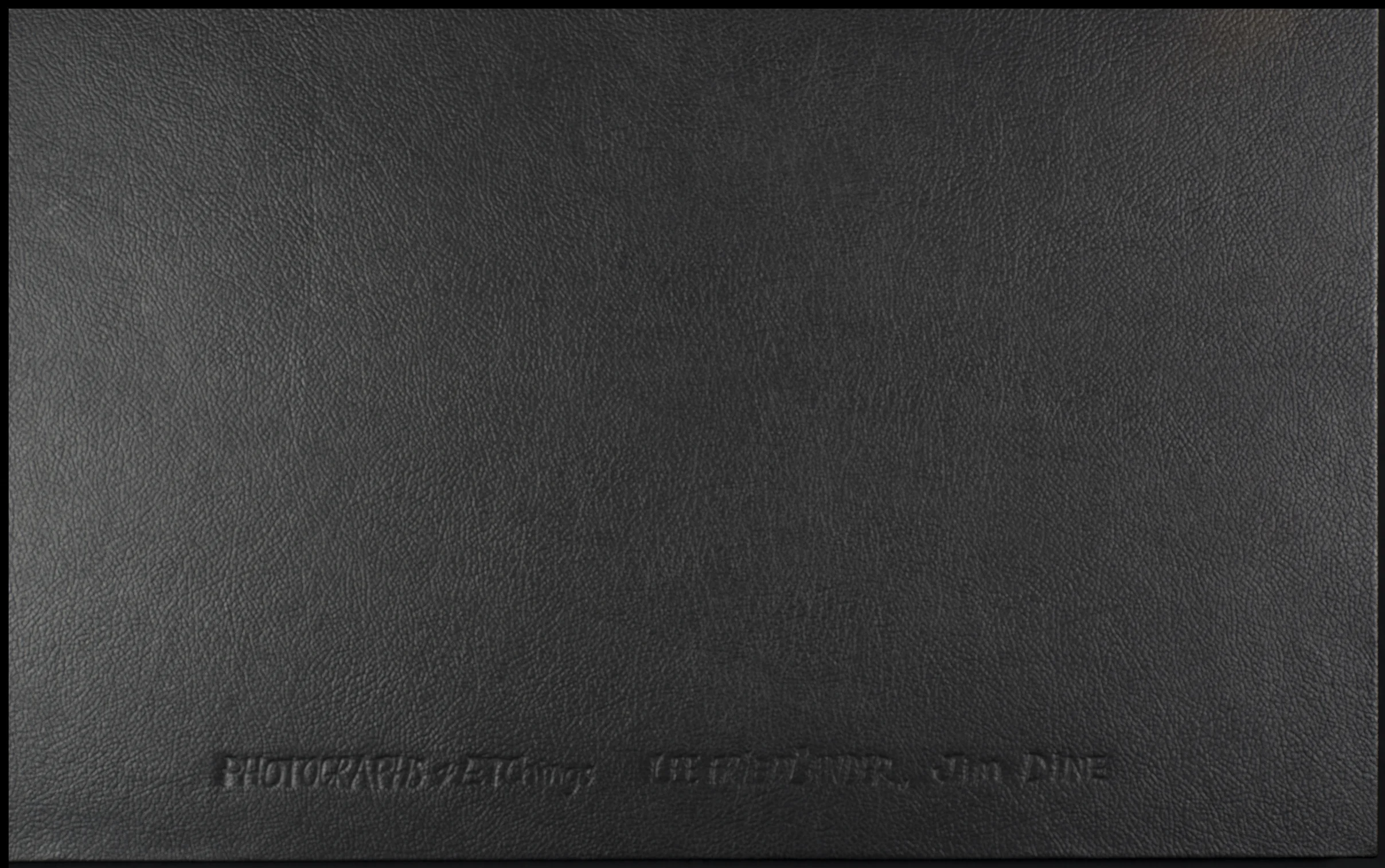 Photographs and Etchings (portfolio)