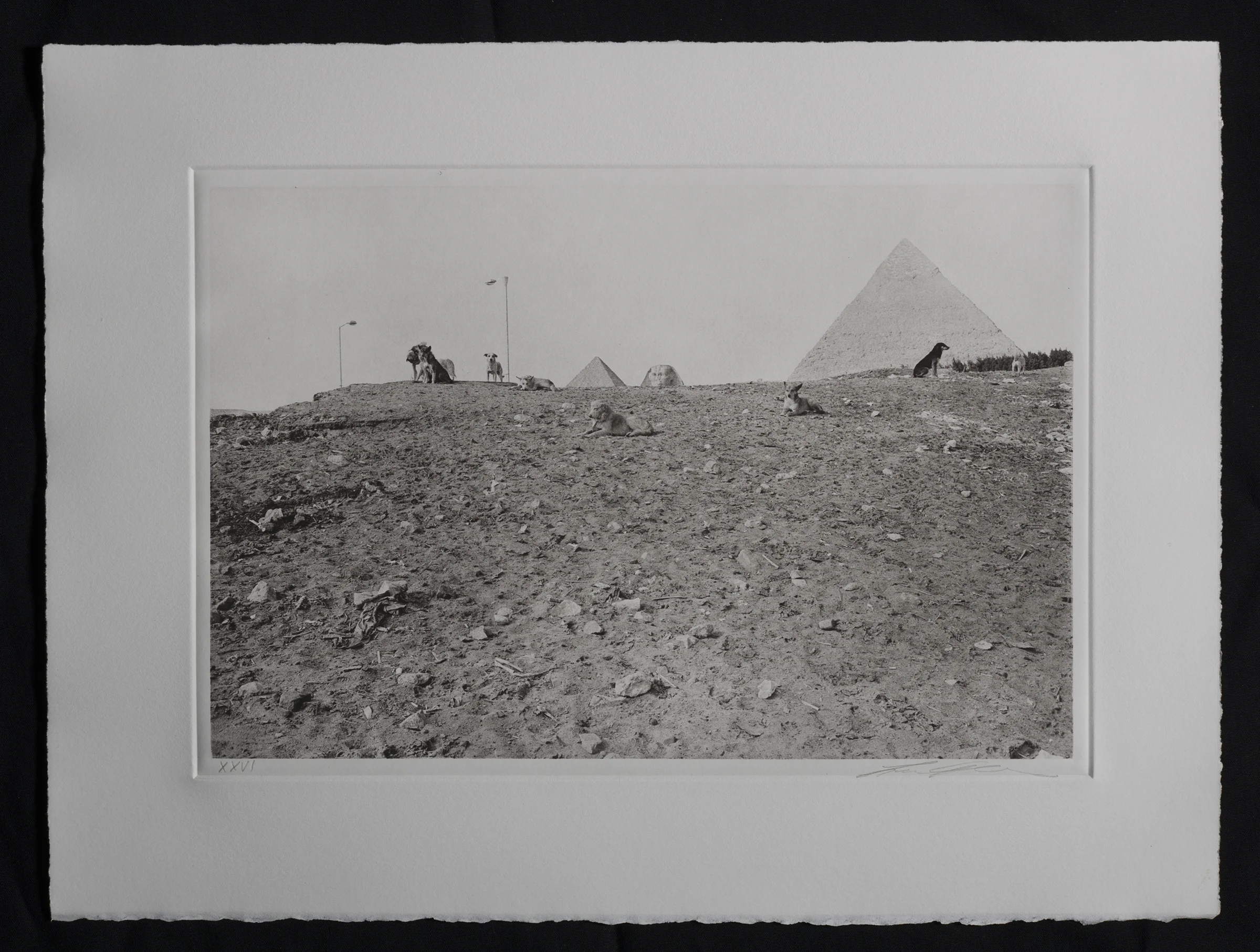 Like a One-Eyed Cat Gravure Print - Pyramids
