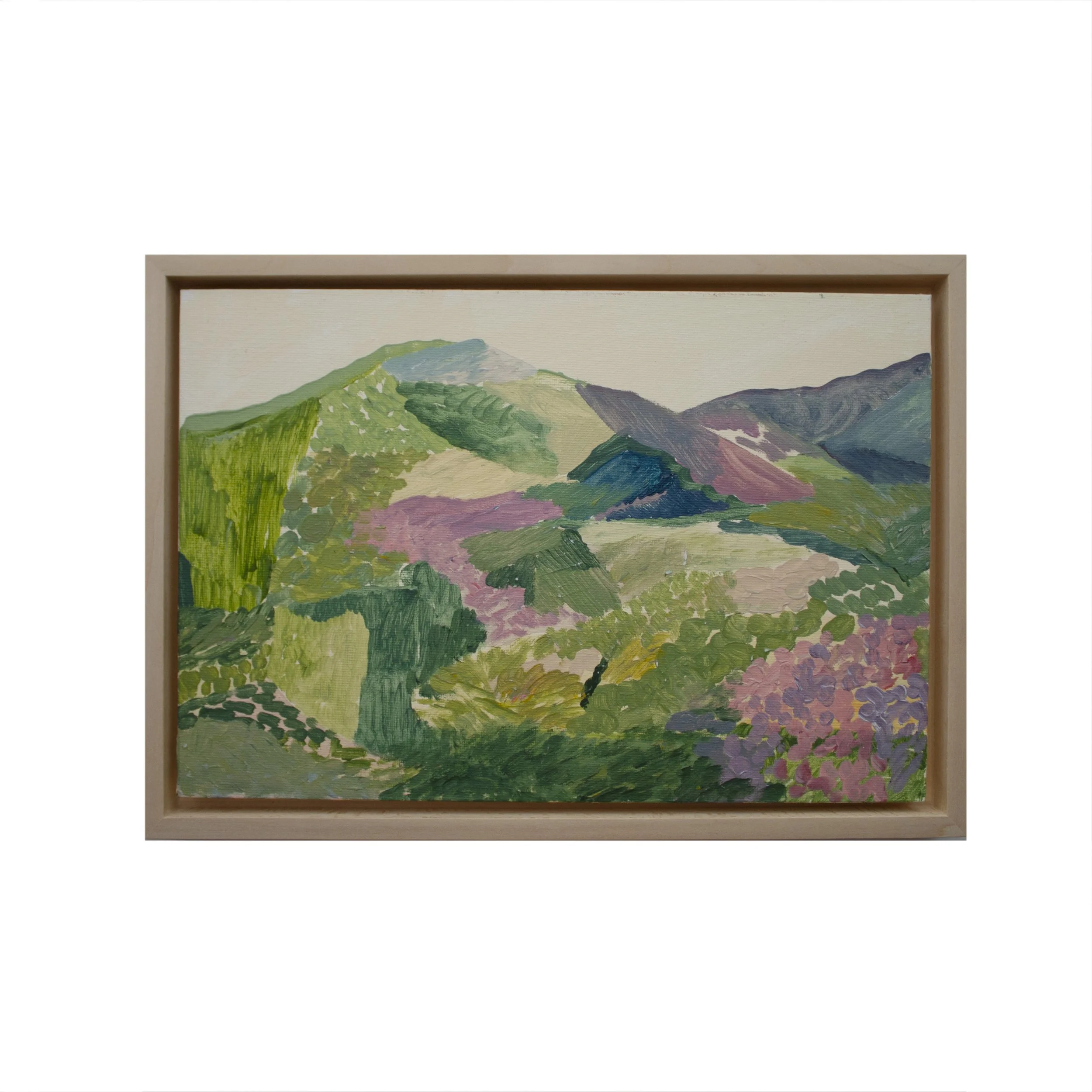 mountAINS0.jpg