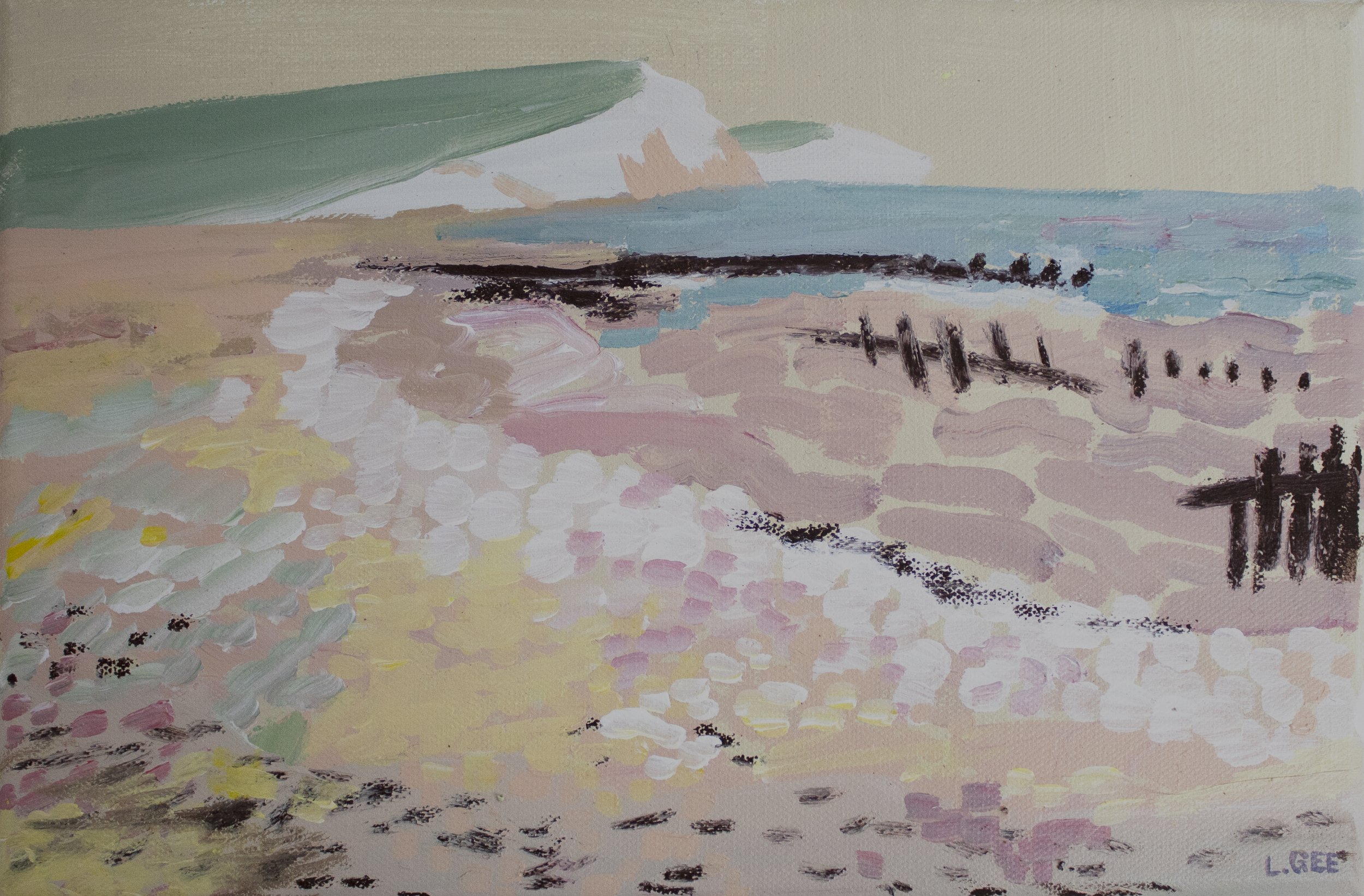 LauraGee-SoftnessatSevenSistersCoast-30x20cm-£350.jpg