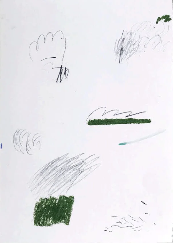 forest2close.jpg