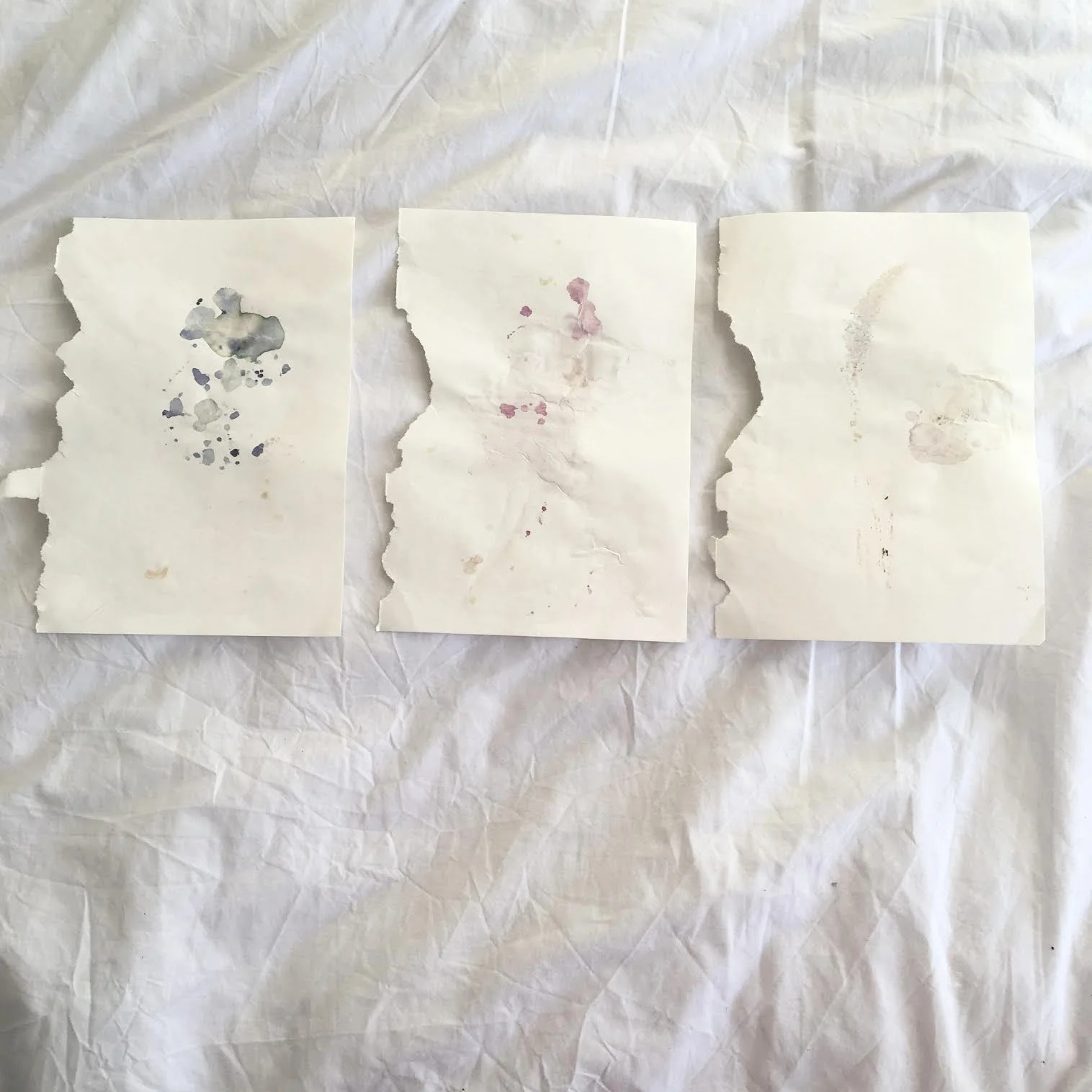 Beautiful marks and washes left from pressing petals of some flowers.