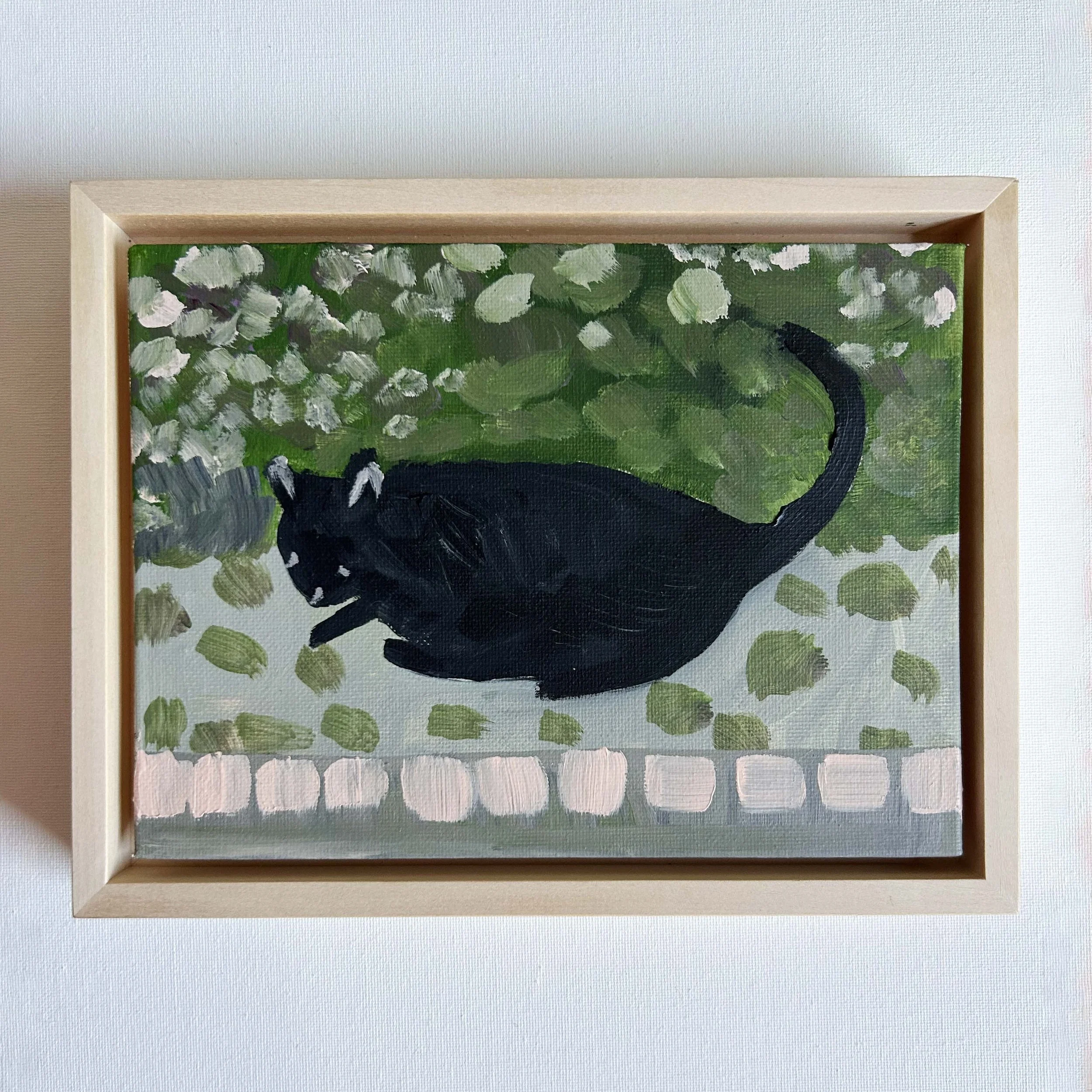 cat on the street .jpg